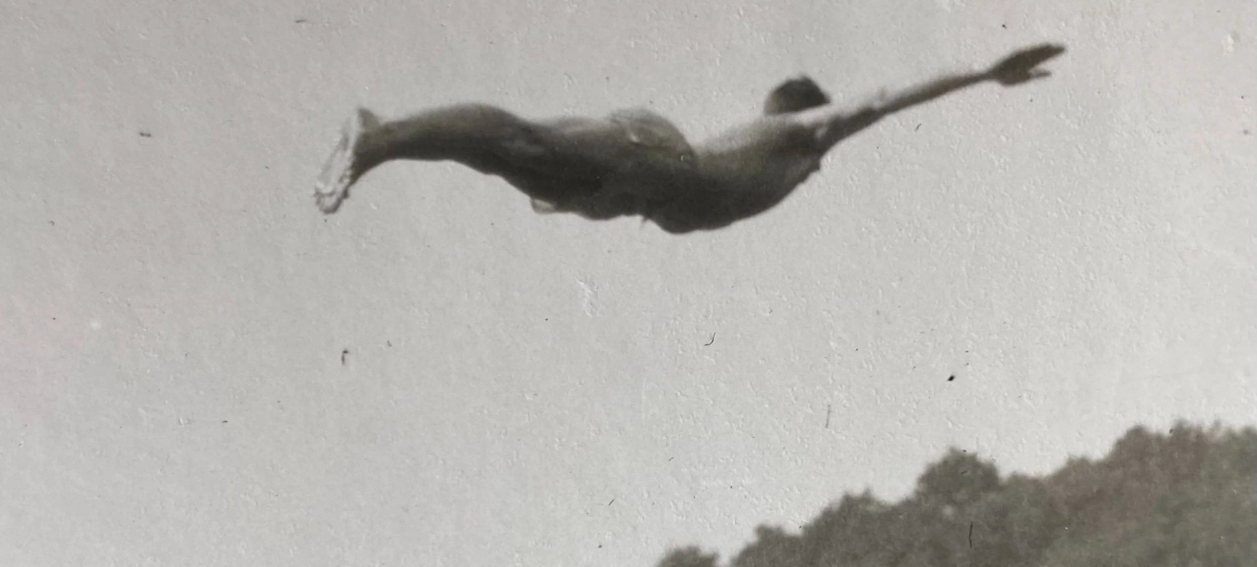 Public Sale Auction House