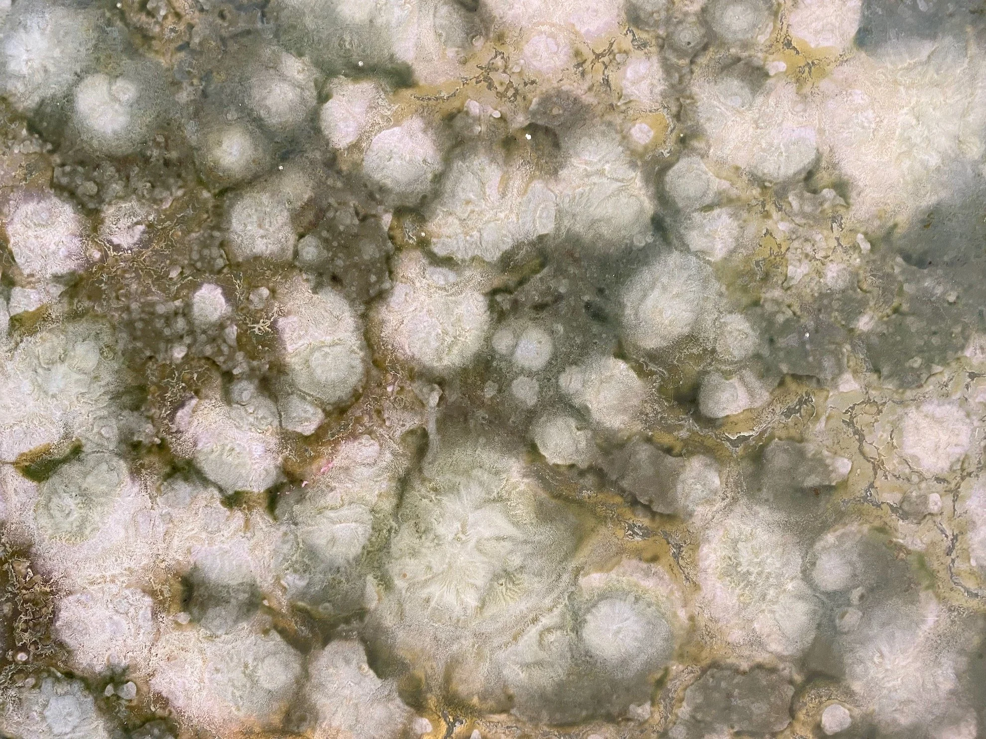   Welcome to Public Sale    Auctions    Consign  