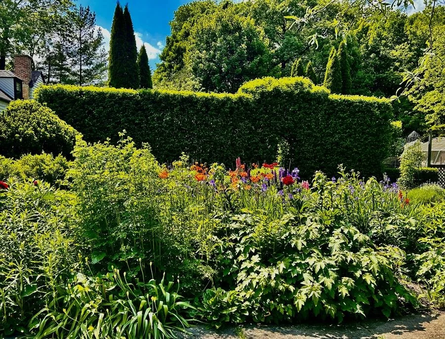 Early Summer Garden Stroll
