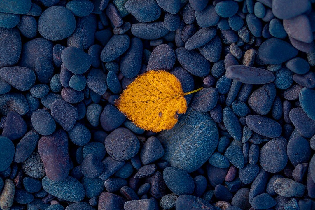 Lake Superior shoreline