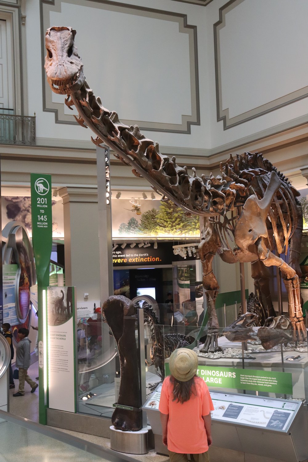 Lots of dinosaur bones. Turns out Tom Holland and Dominic Sandbrook were in DC for a show this week (from the podcast, "The Rest is History"). I wonder if Tom checked out the dinosaurs.