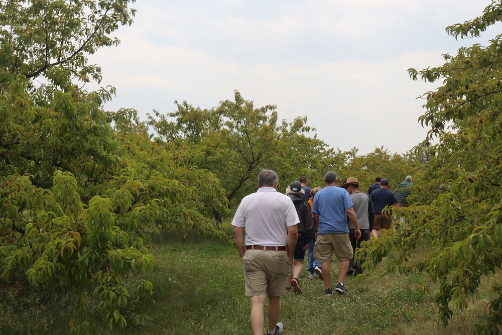 Following the ranger through the remains of the "Peach Orchard Battle."