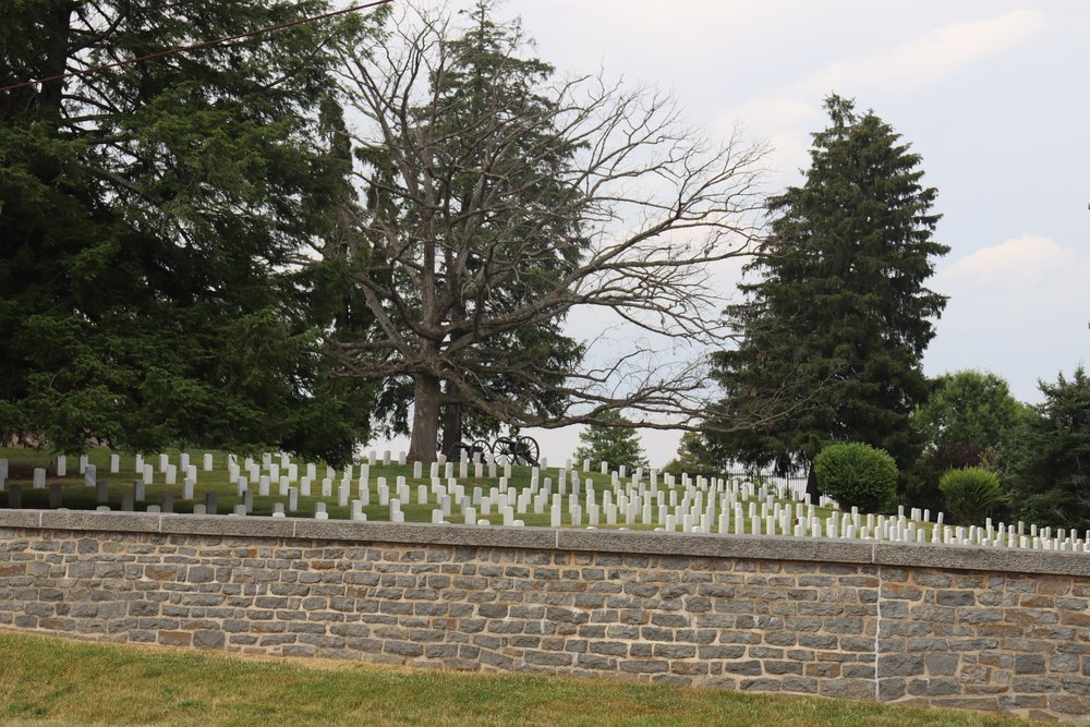 The cemetery with many of the killed soldiers from Gettysburg was kind of like a small Arlington.