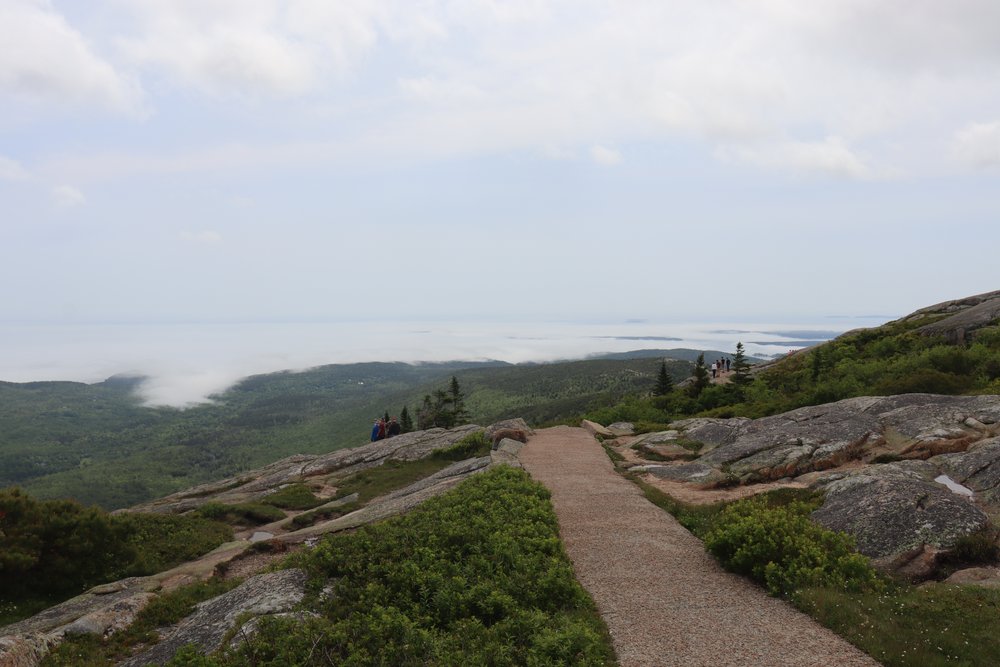 acadia cadillac stairs 1.jpg