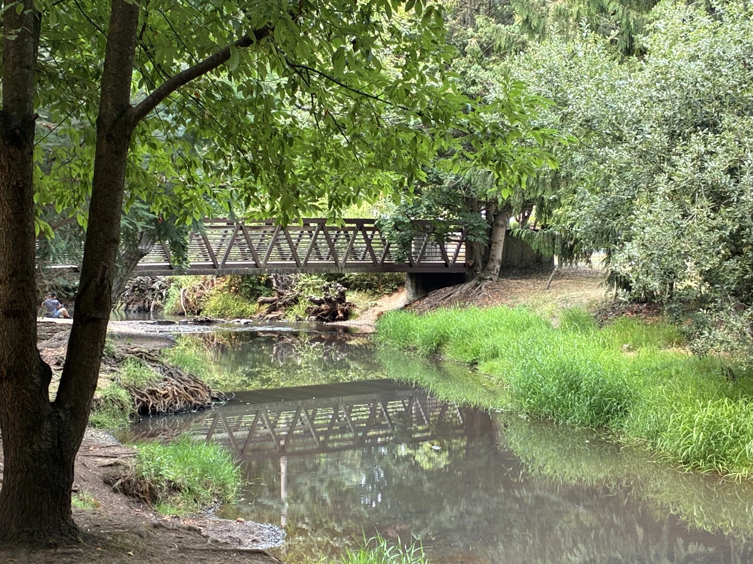 A Goldilocks Day on Jim Kaemingk Sr. Trail