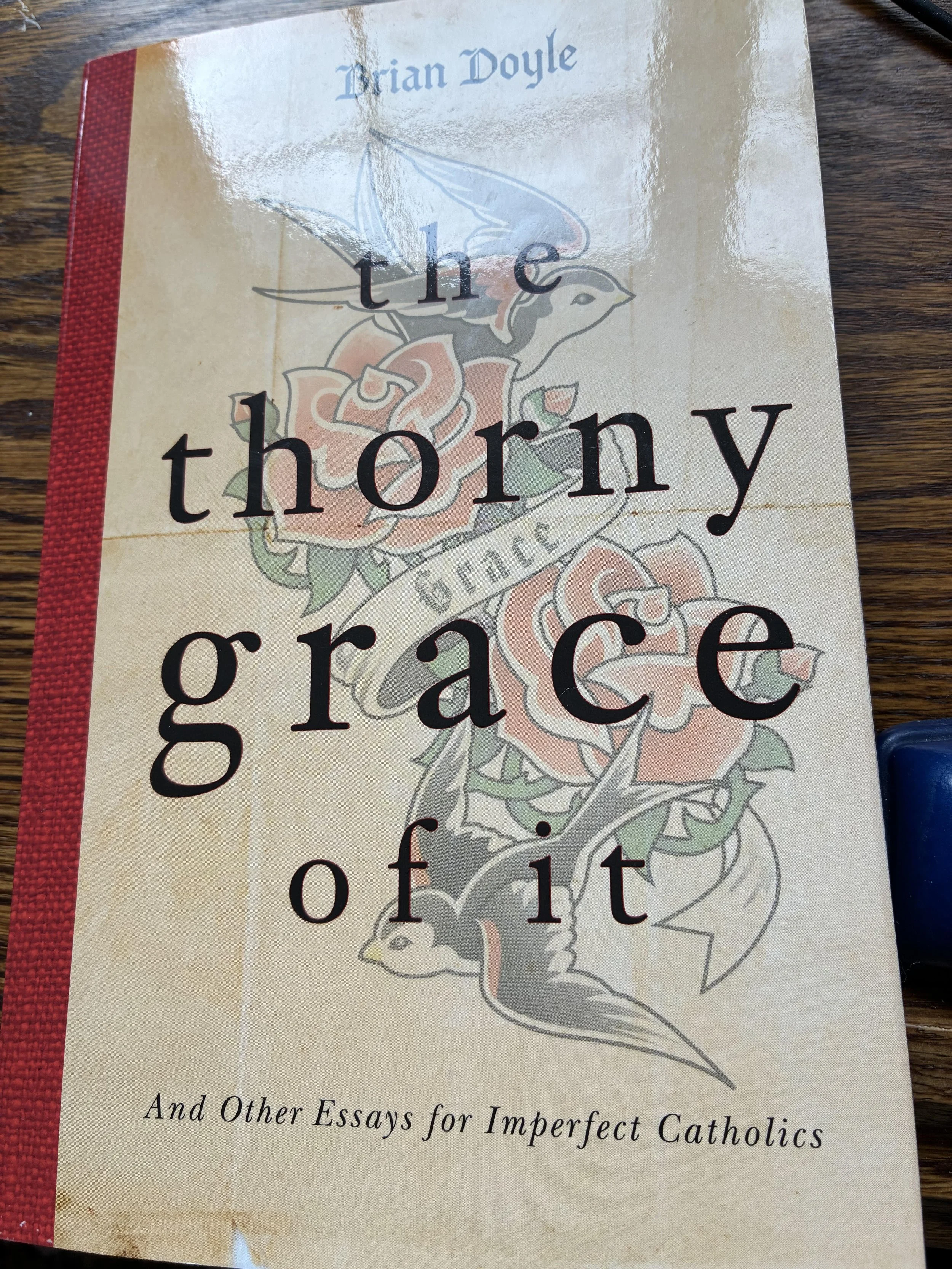 The Thorny Grace of It: And Other Essays for Imperfect Catholics by Brian Doyle