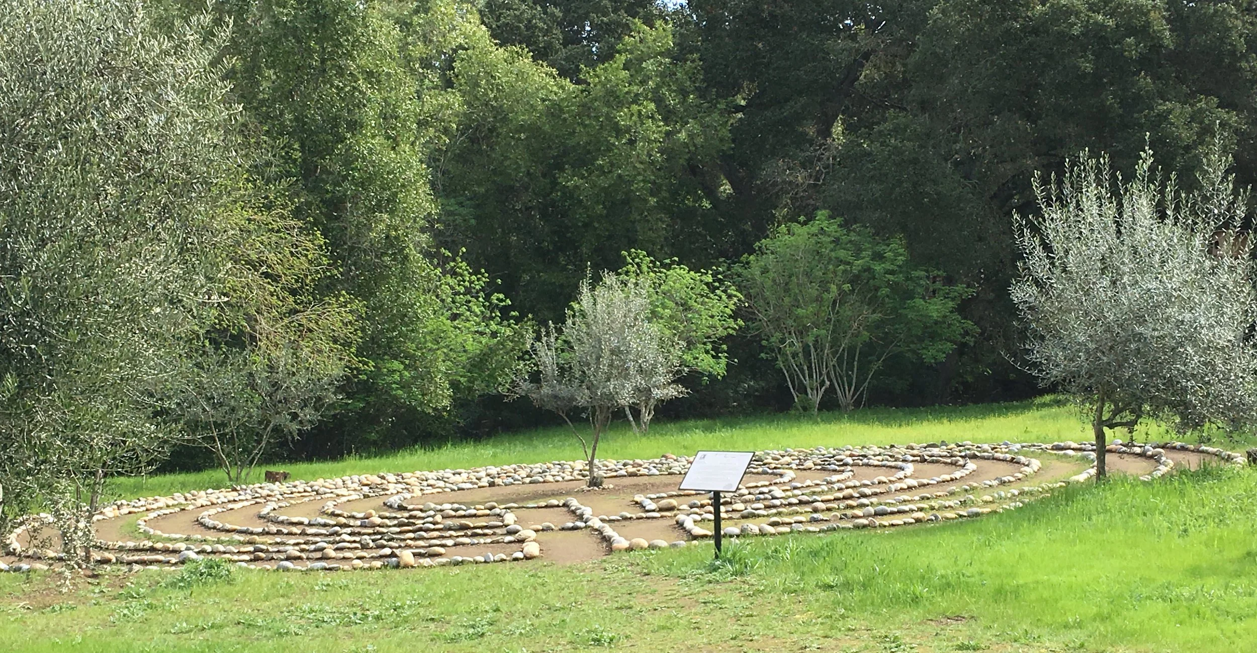 M.E.G.O. - My Eyes Glaze Over