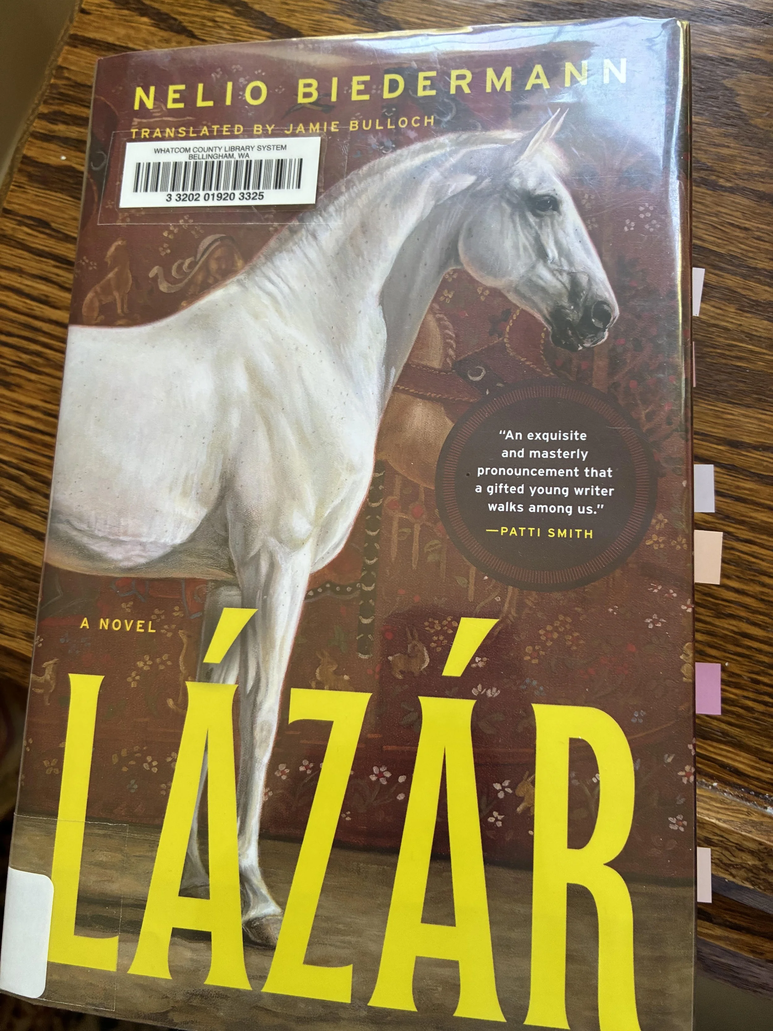 Lázár: A Novel by Nelio Biedermann