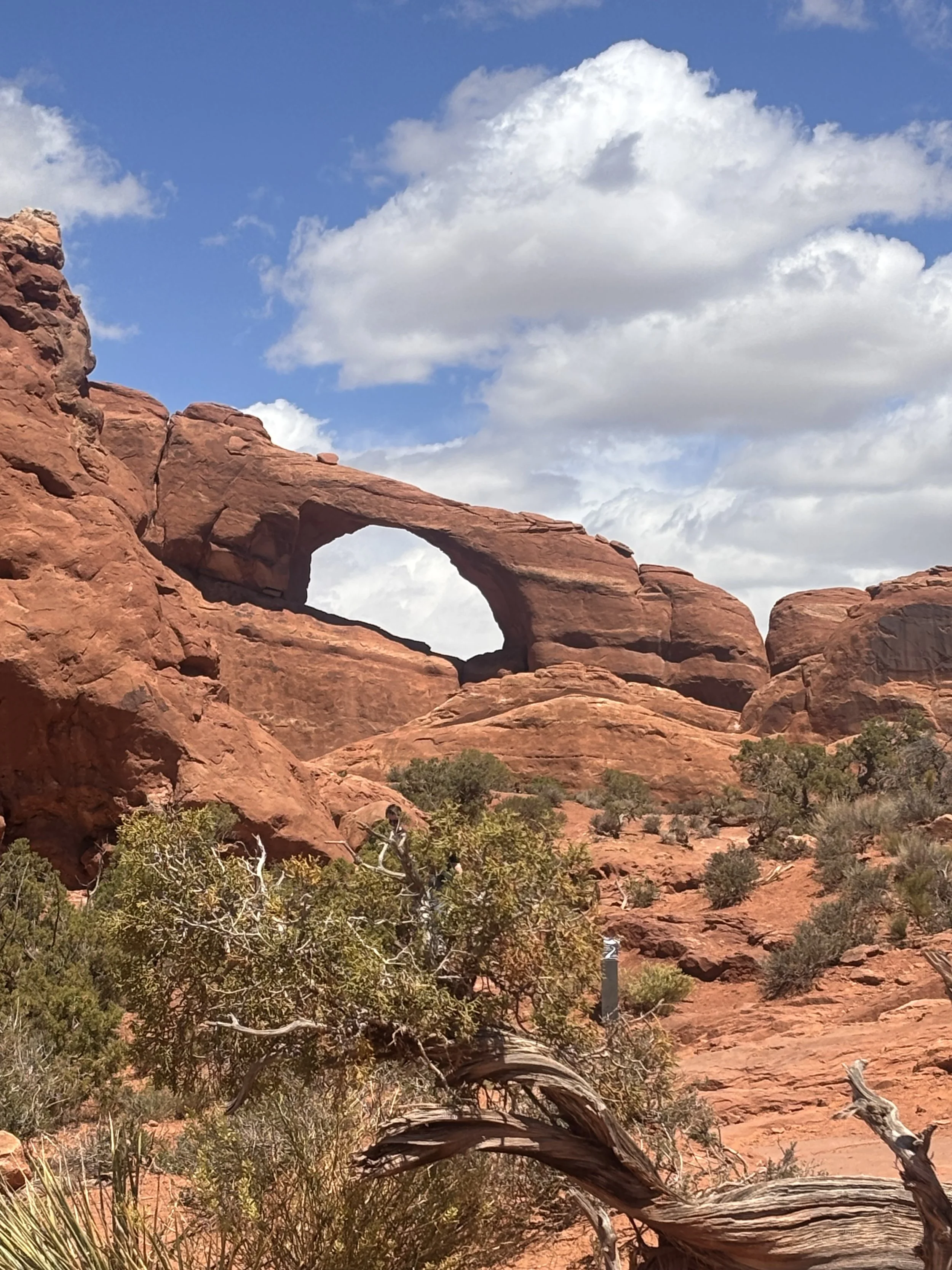 Road Trip - April-May 2026 - #11 - Arches National Park