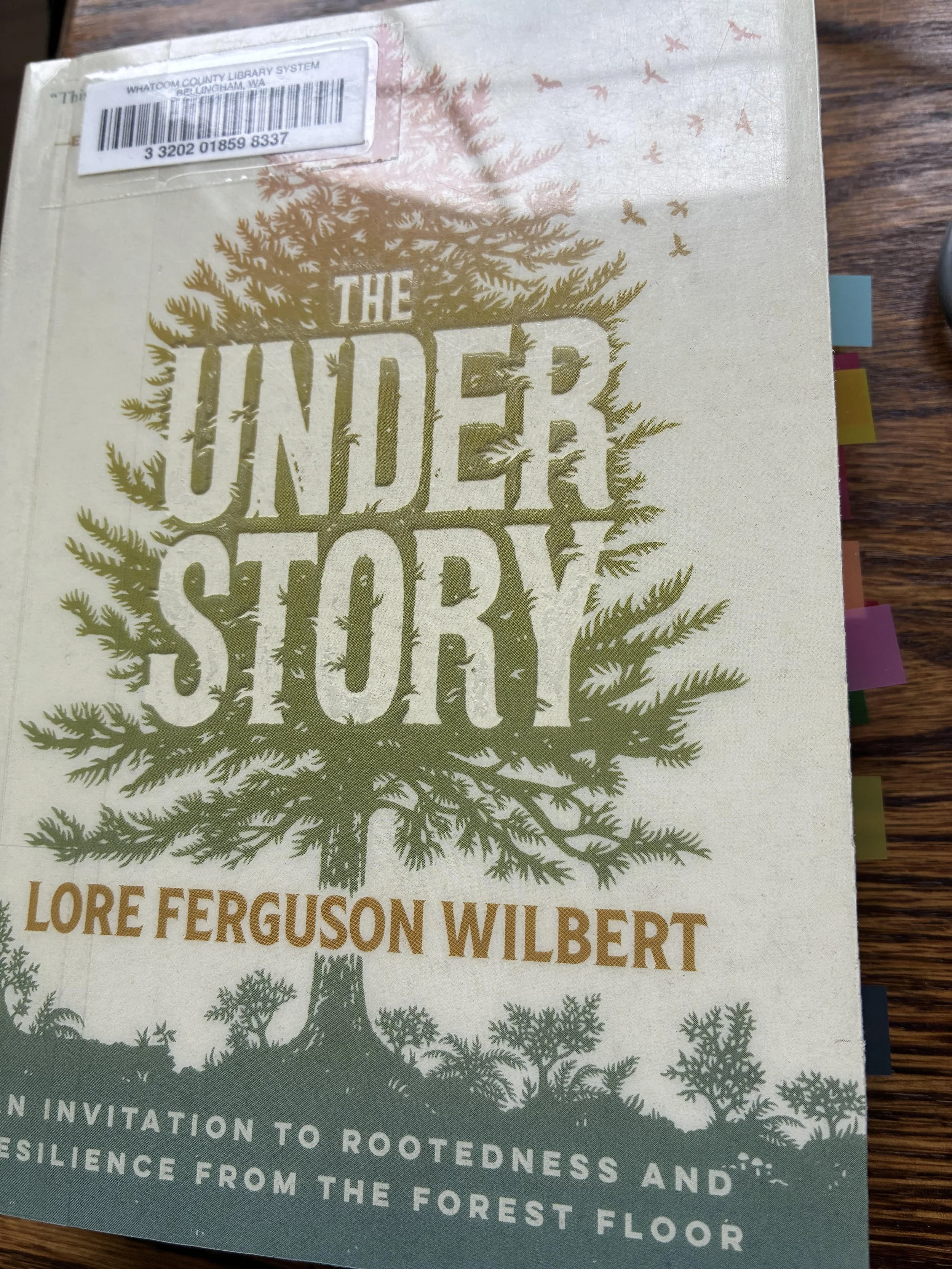 The Understory: An Invitation to Rootedness and Resilience From the Forest Floor by Lore Ferguson Wilbert