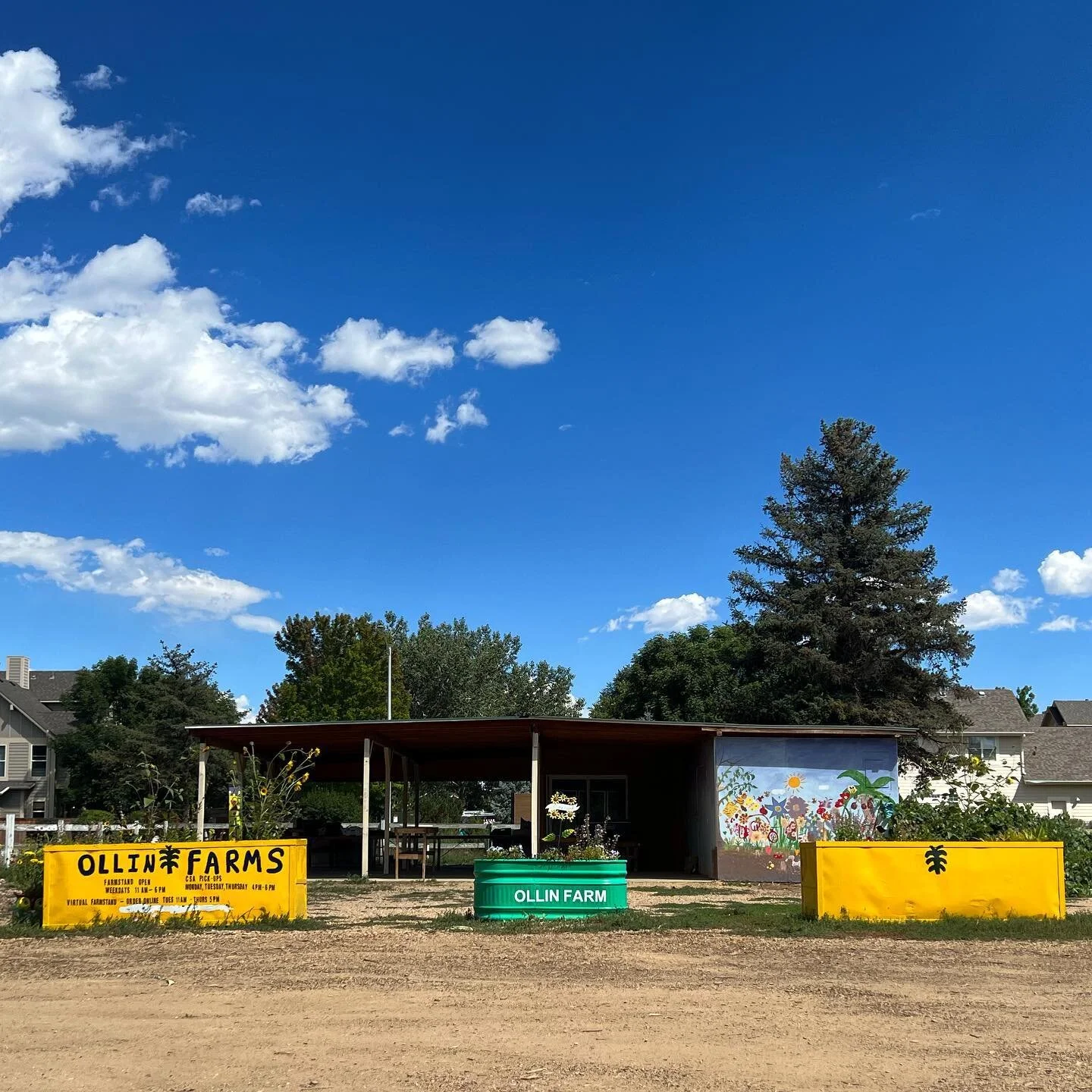 CSA box, horizon #31photosin31days @ollinfarms_