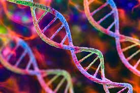 A Patient’s Guide to Genetics