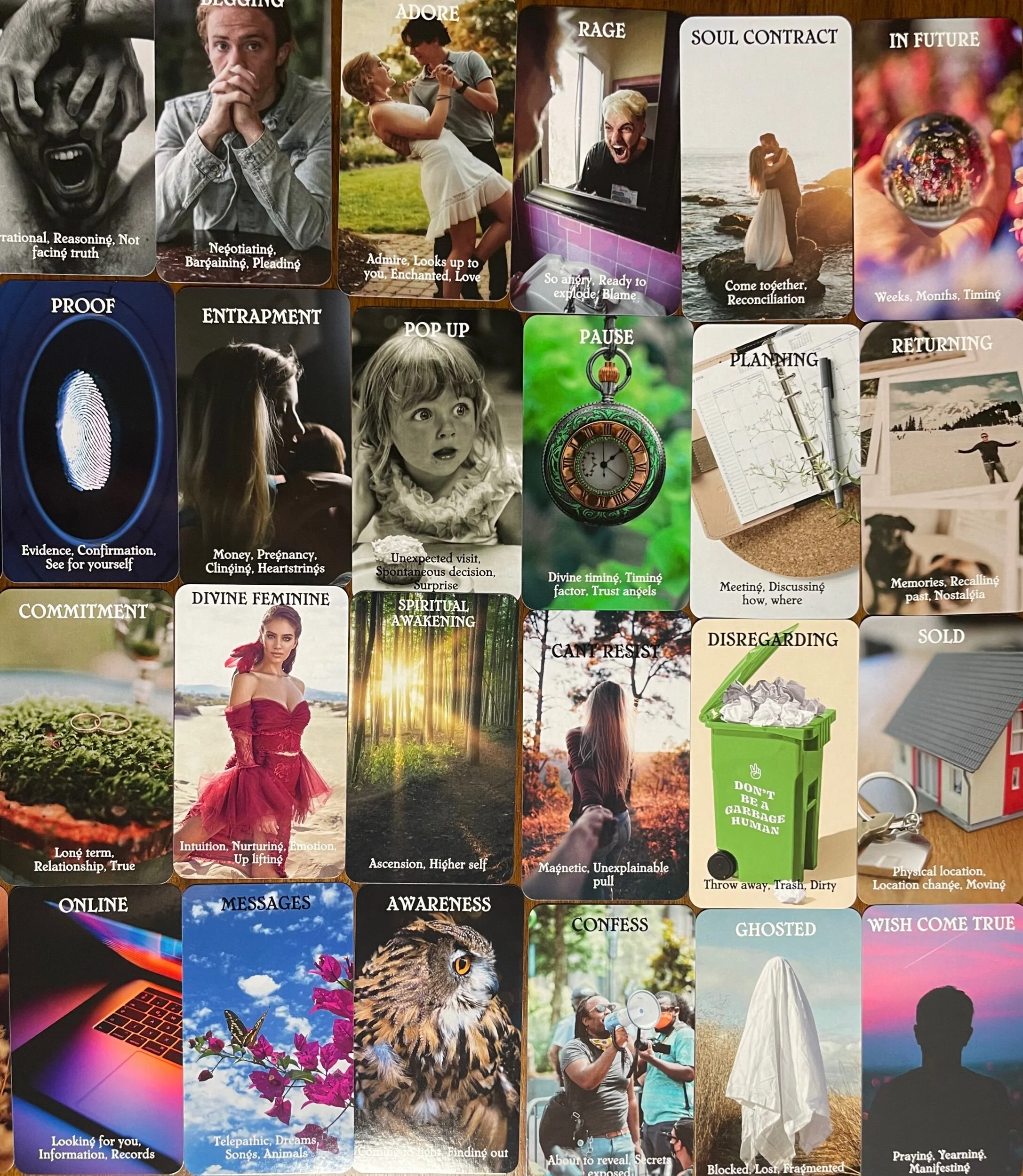 9C9282AF-434B-43E1-B391-CE3E1527C357