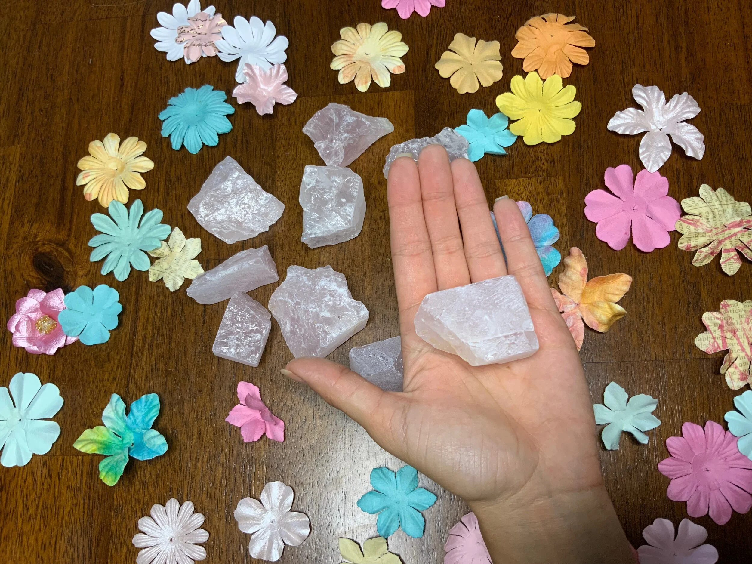 FB908A29-DA37-4335-BEB4-7091DC6B36BB