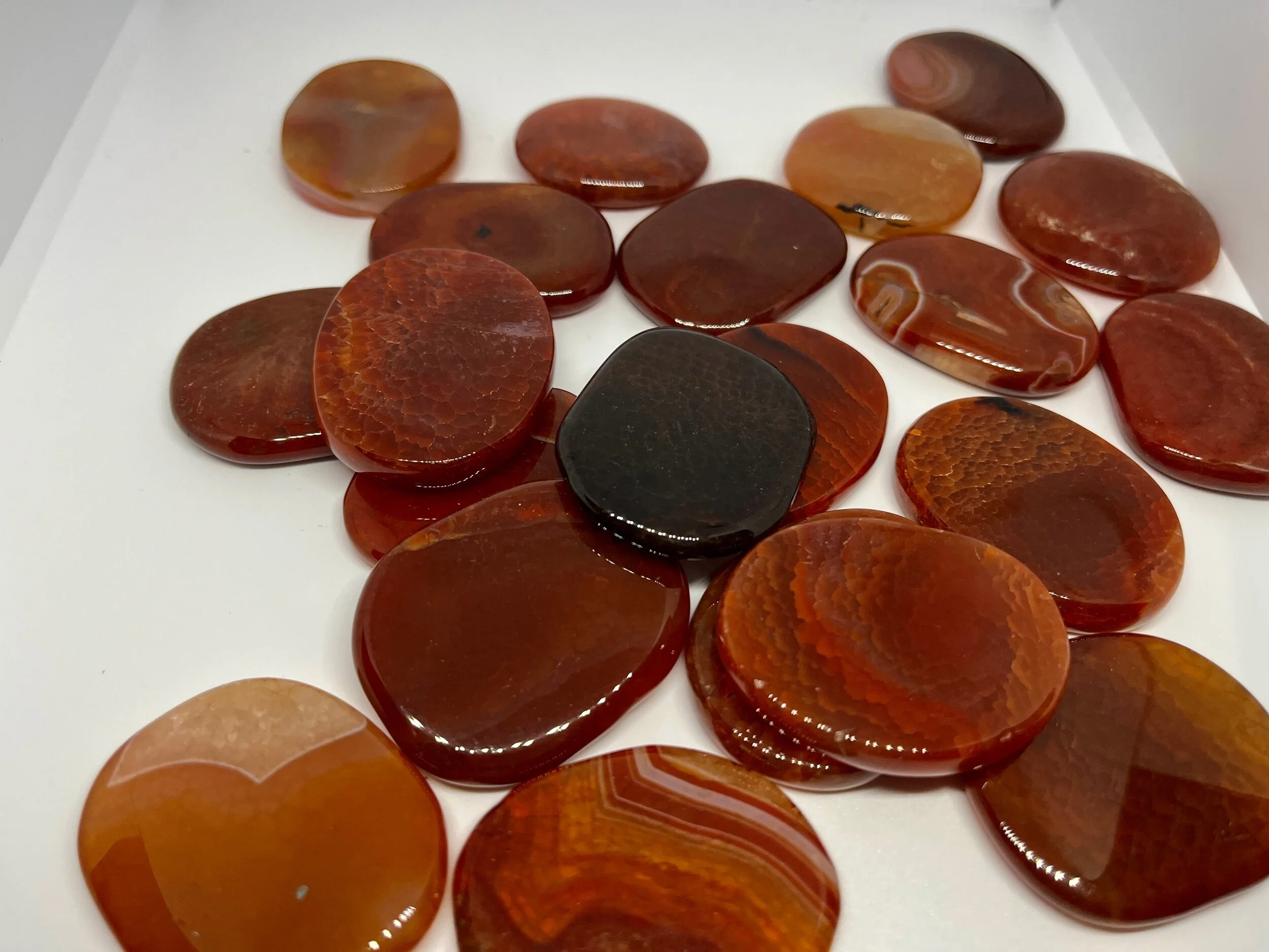 593F7074-3393-4411-8EDB-61471935BE50