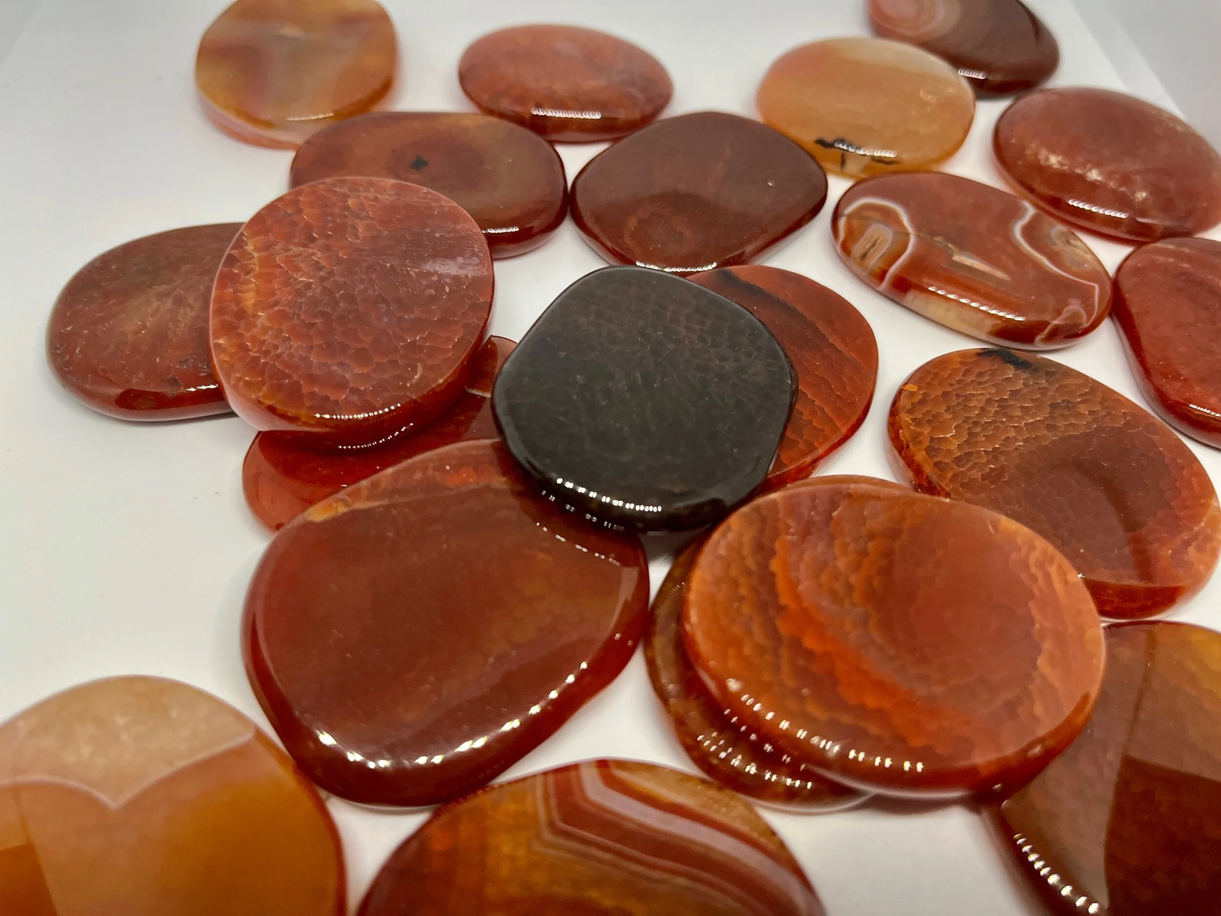 B3AAE36B-57E2-4D1C-A2F9-3A0B2BD64DEE