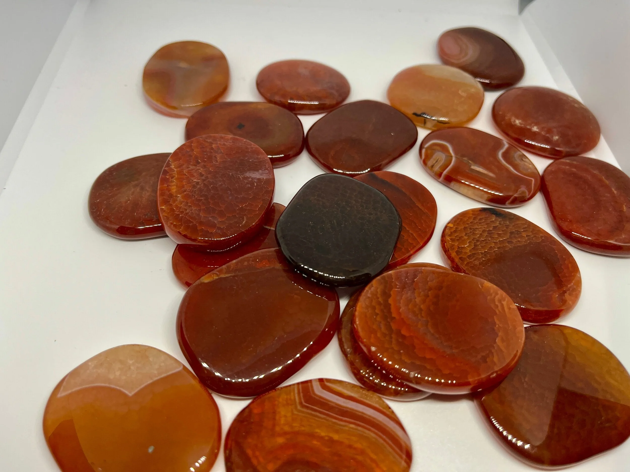 D01B7DC6-7E09-4197-8A28-9AE58347B99F