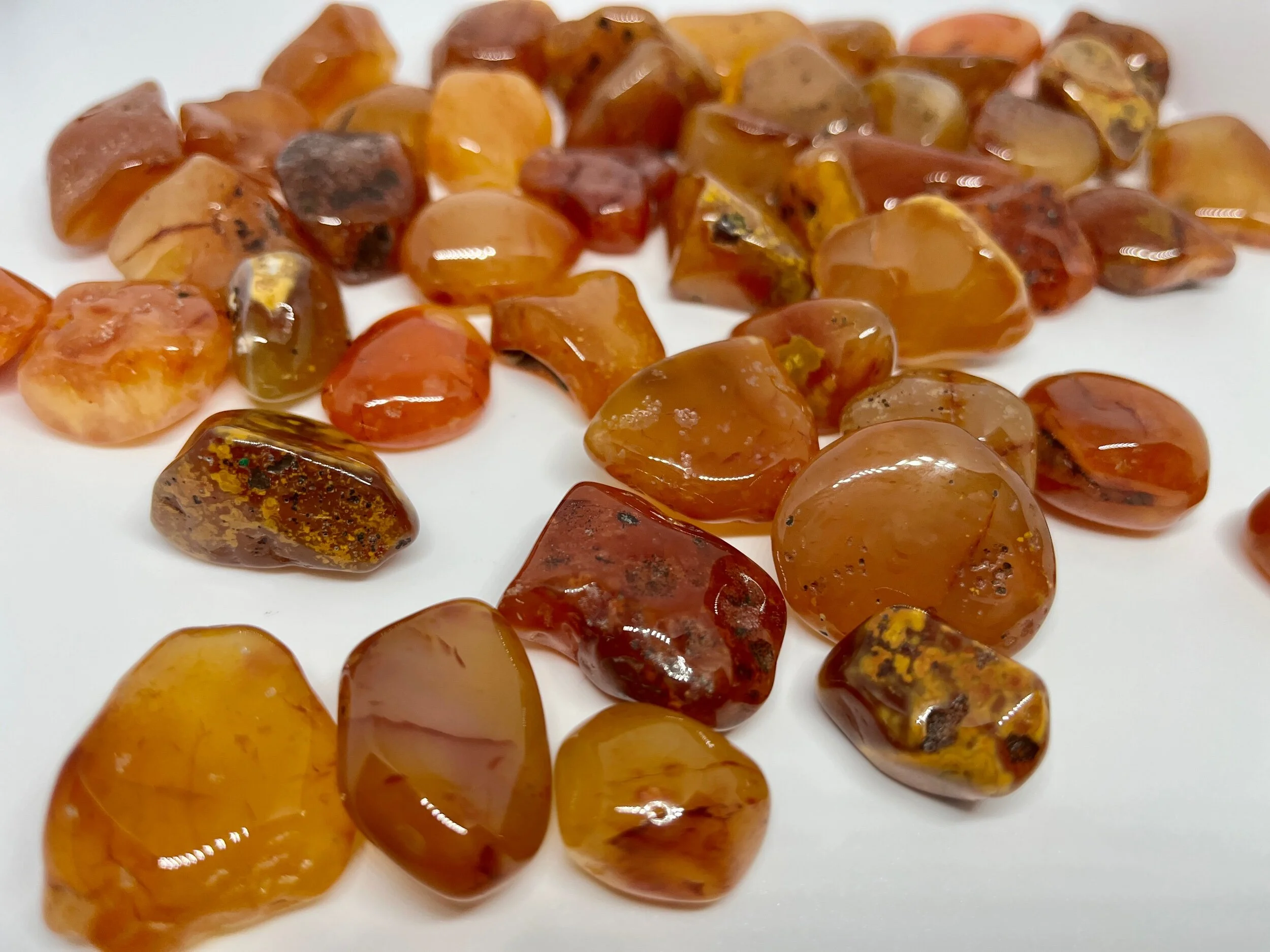 E9BC5415-4B56-4103-9EC7-DD9E810457D4