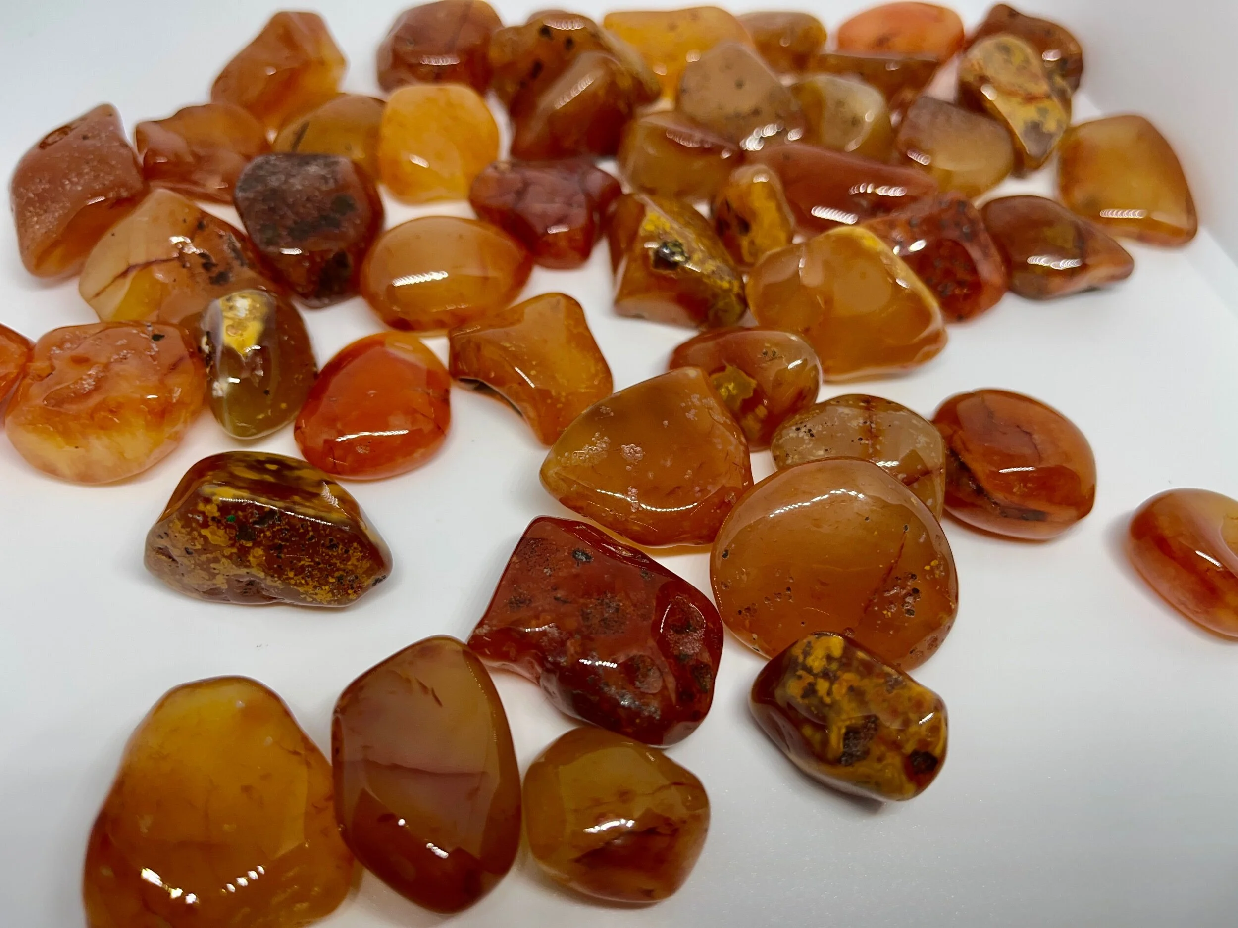 66A35877-7405-44DC-9DED-99ABCCB03D9F