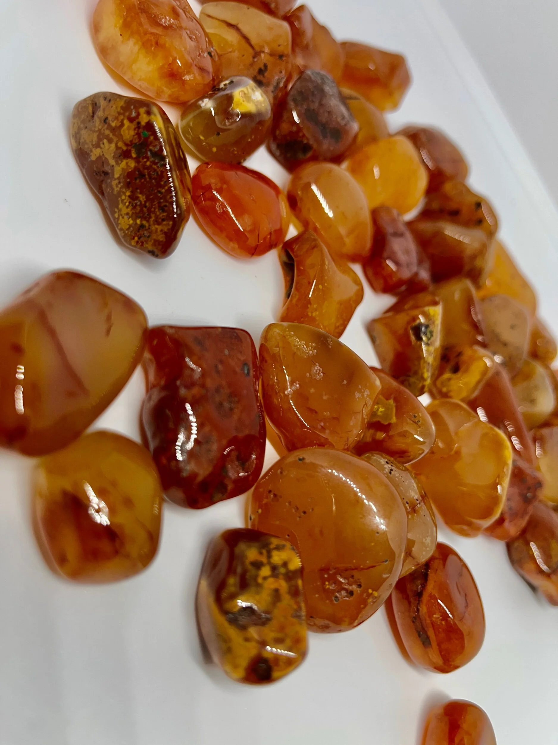 EE84D043-2777-4ECE-A567-947F67182735