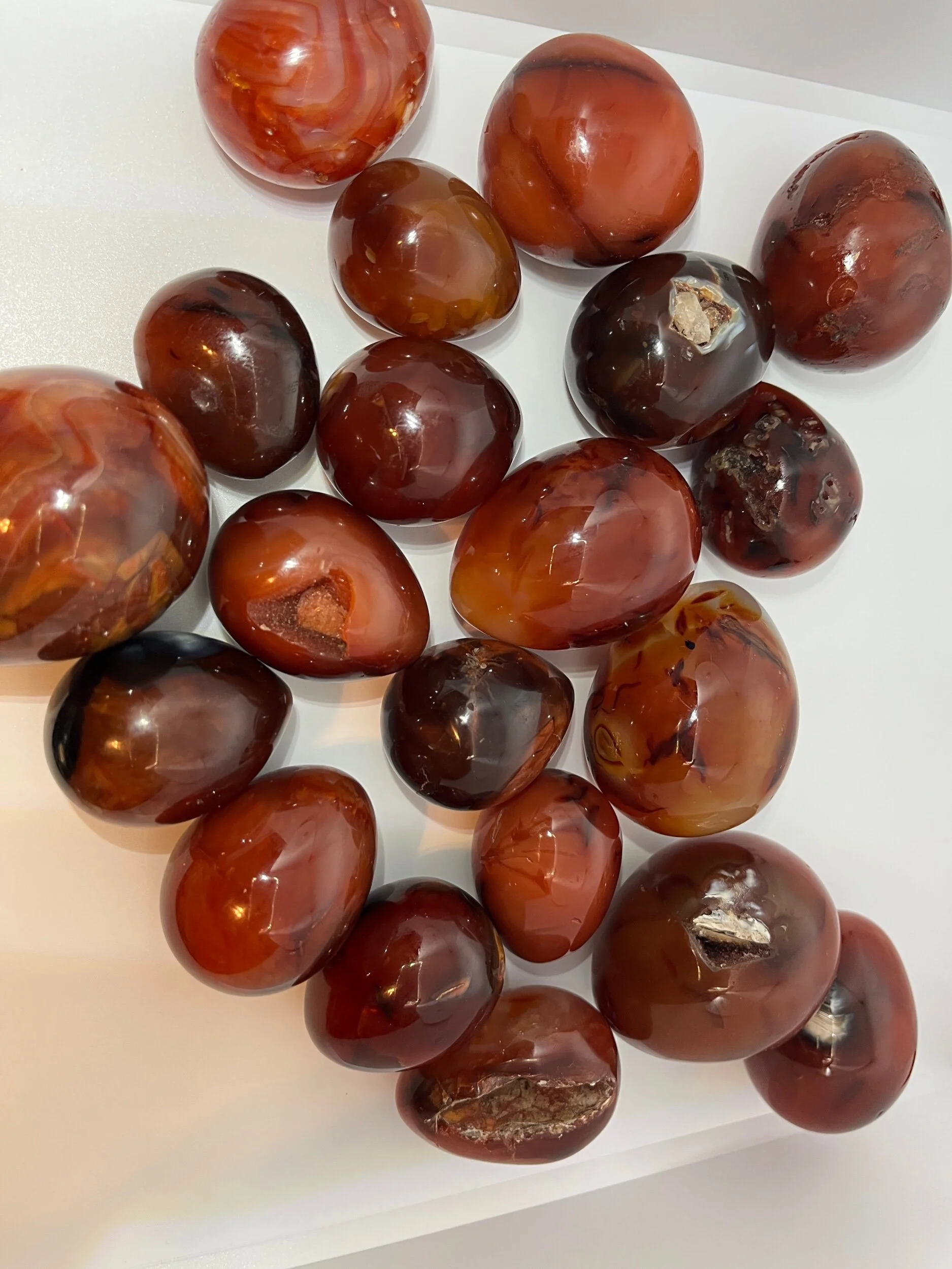 5582E478-CDD4-40EE-9BE5-6310093C5D33