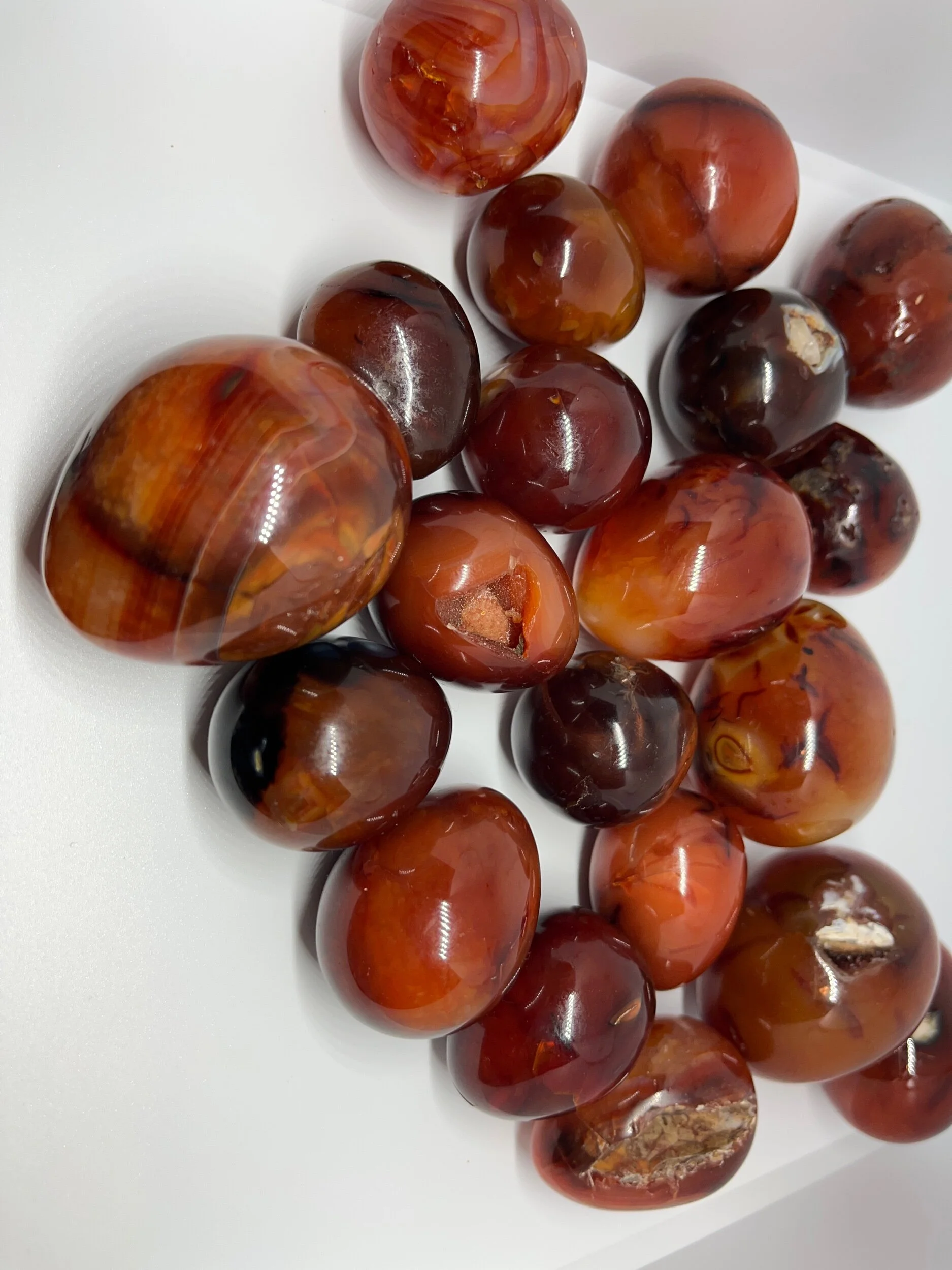 3B94E3E3-BCFD-4D18-812D-1F0E5AD8C94C