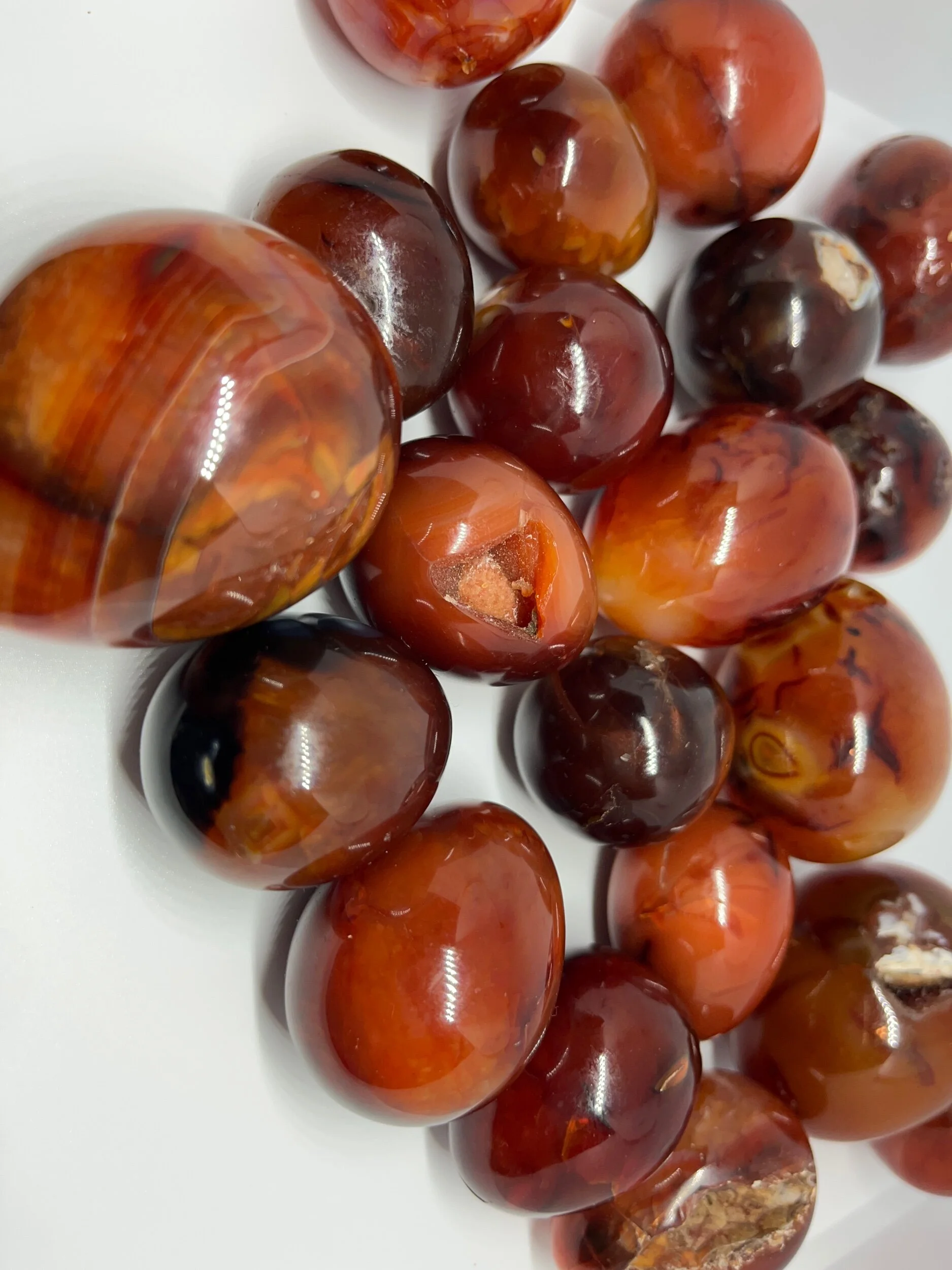 91E4C8A6-EEFC-4EFD-AC2F-CCF6AD76677C