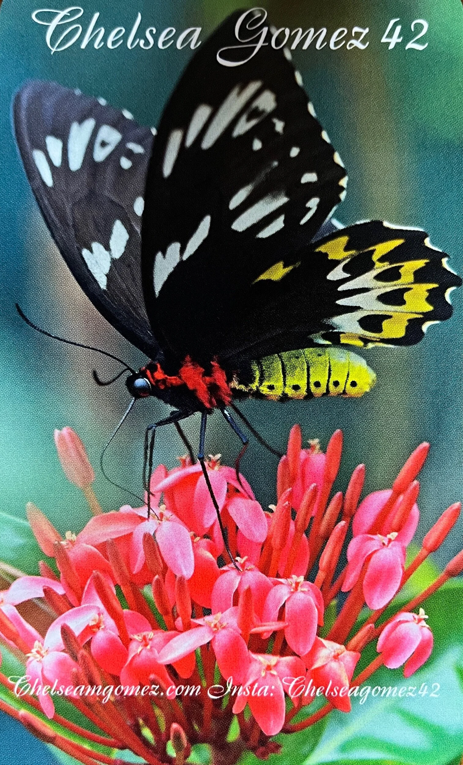 F582A378-C947-4884-A49E-F07E634A6CE2