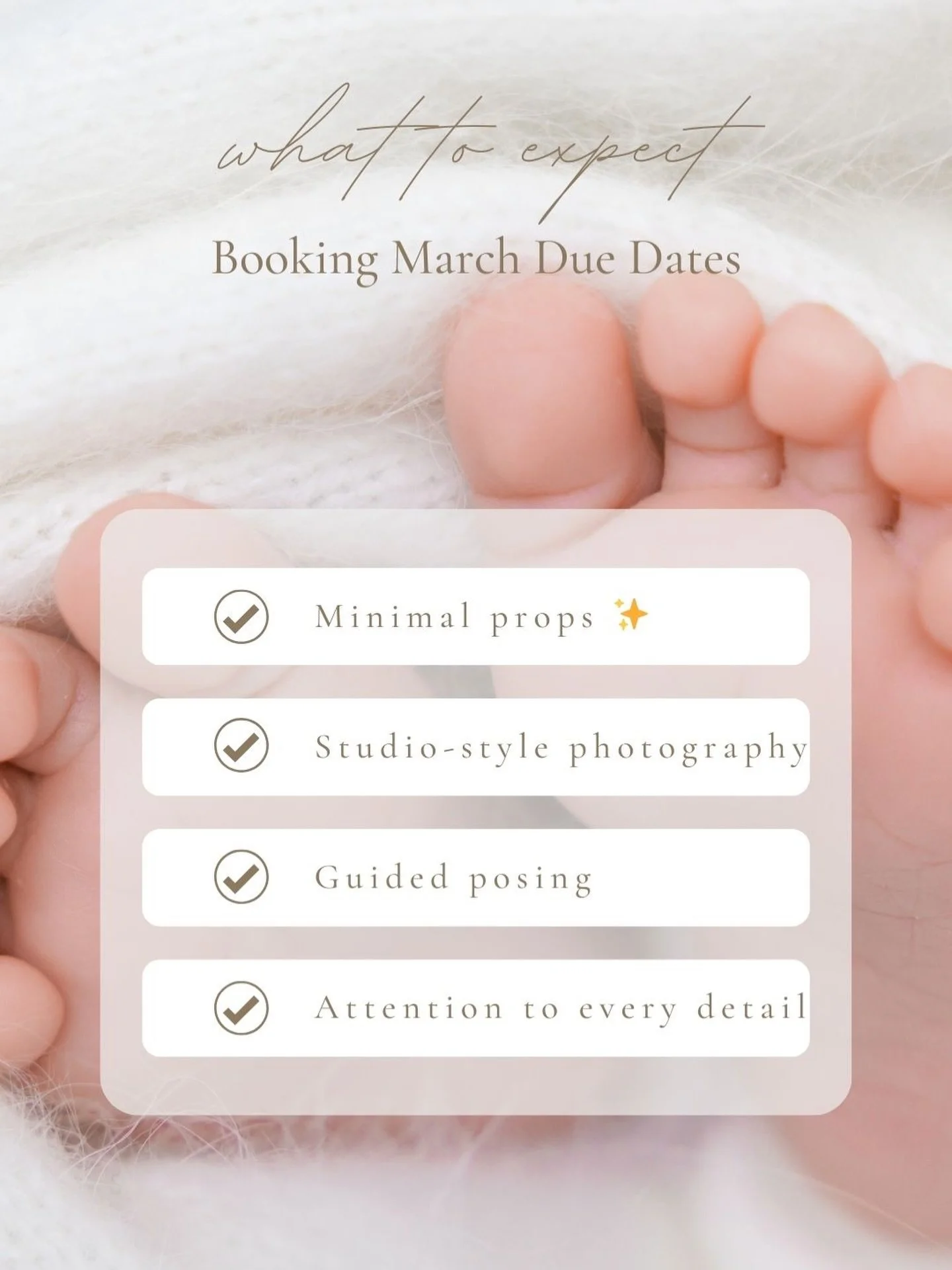 Our studio style is all about simplicity, quality, and giving you the best experience possible. With two people you get double the attention and images you&rsquo;ll love forever 🤍📸
#AlexaMachadoPhotography #StudioStyle #TimelessPhotos #MinimalProps