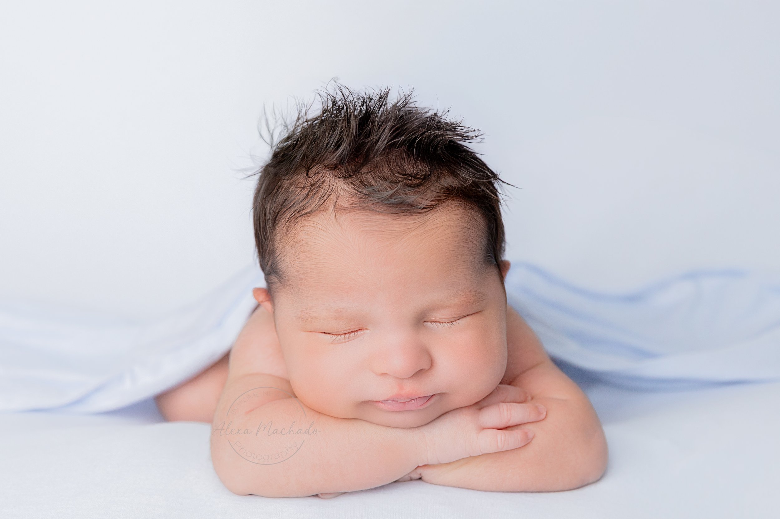 tampa-newborn-posed-photography-session.jpg