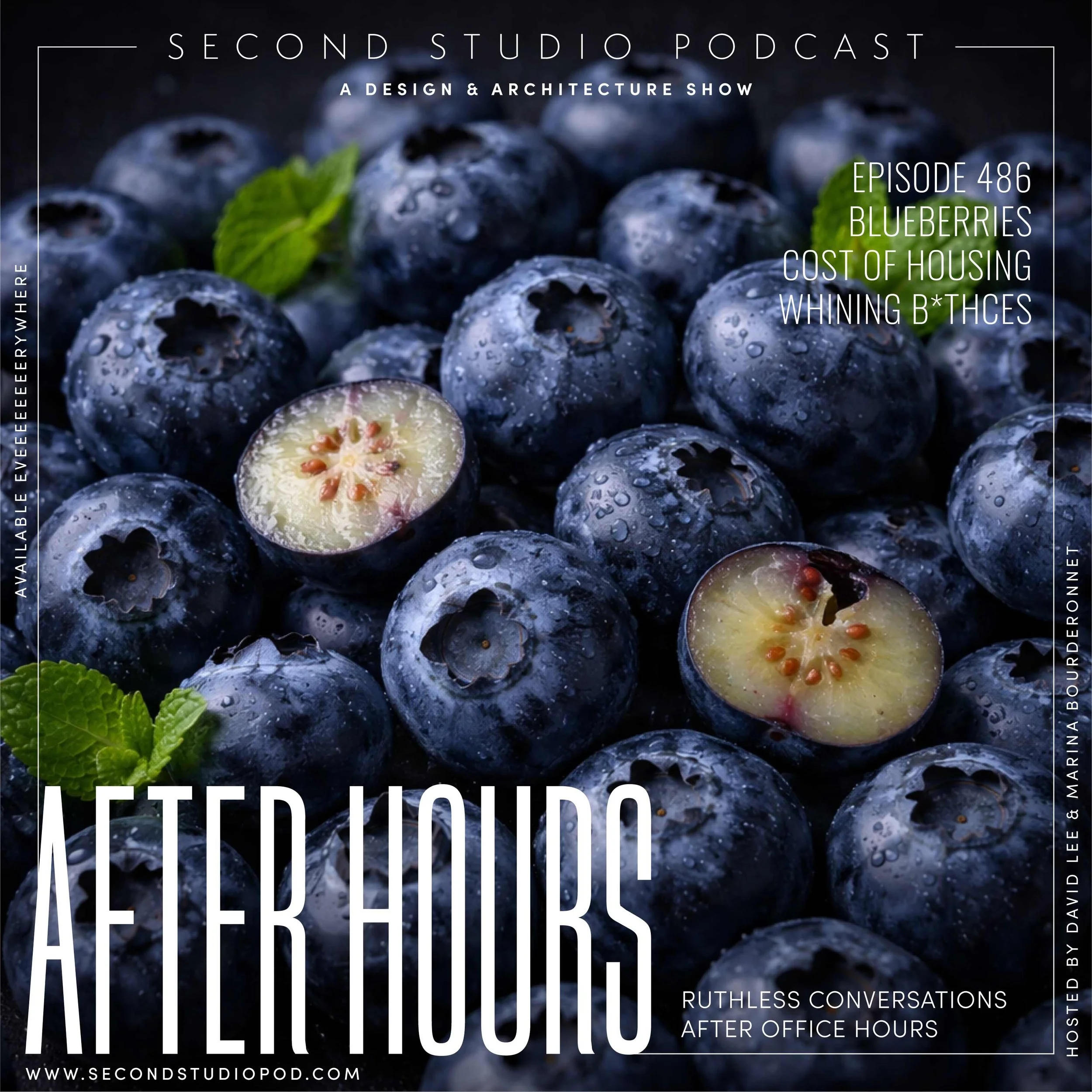 #486 -WHINEY PEOPLE AND AFFORDABLE HOUSING 