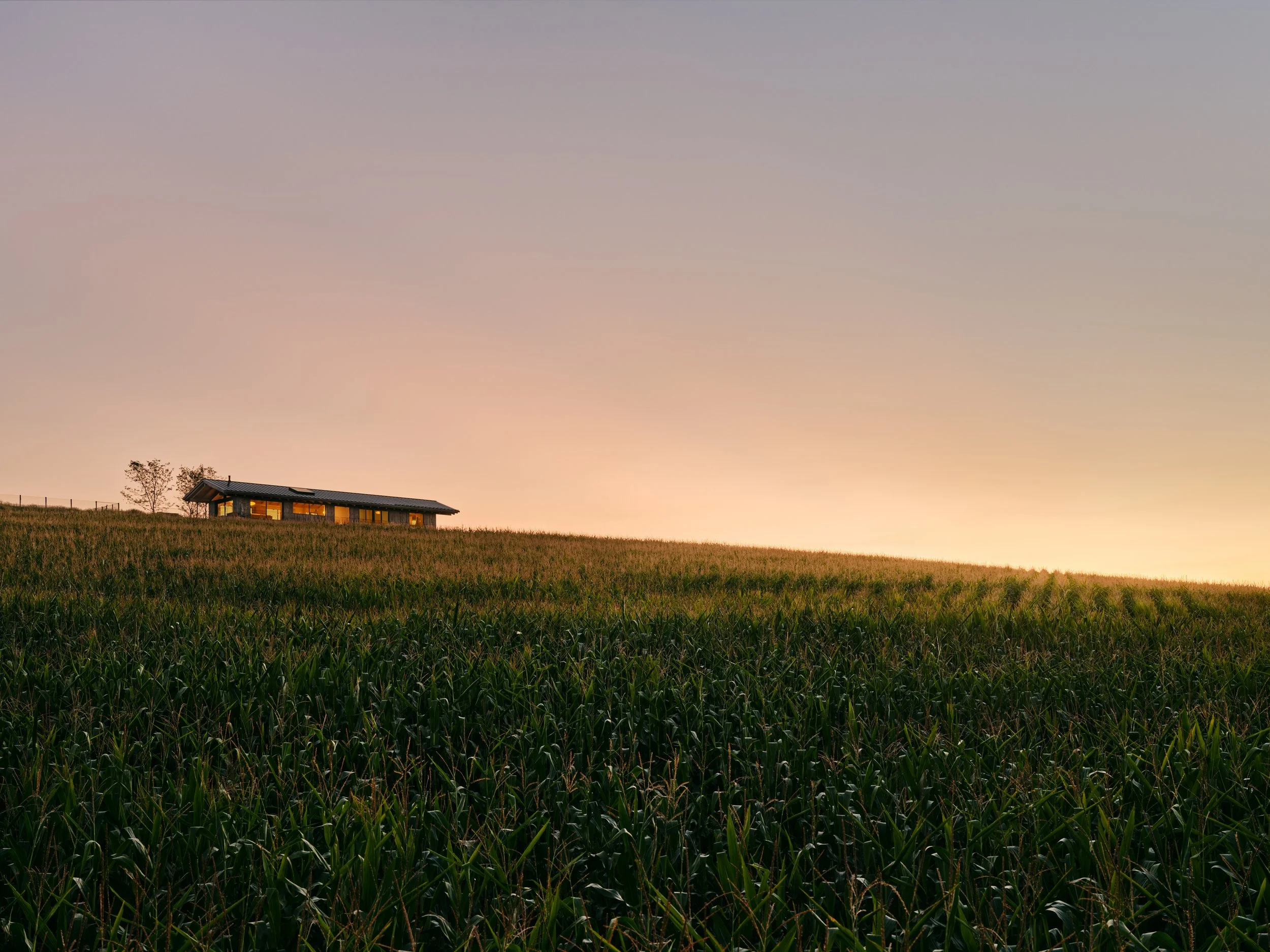 Millerton House - Over Field - Christopher Sturman.jpg