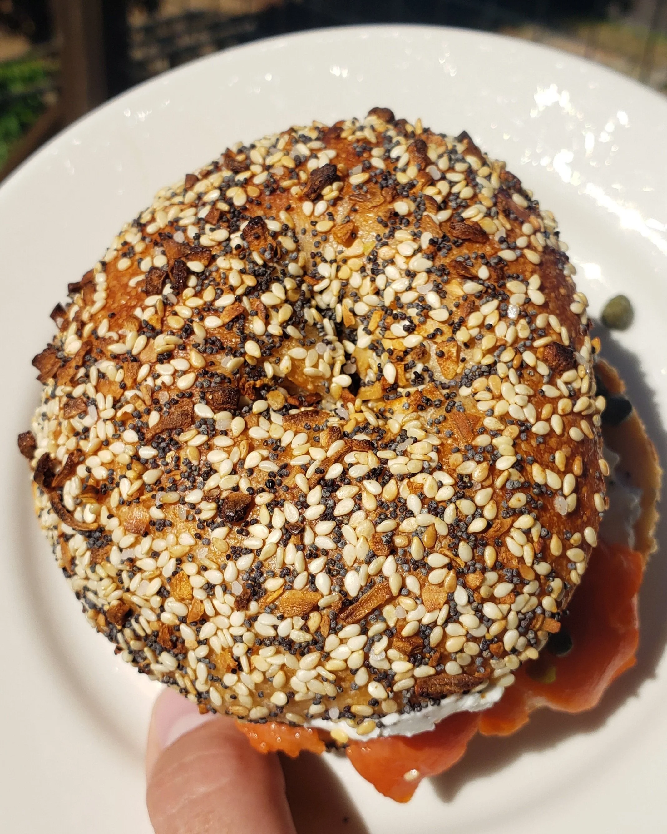 Porkchop &amp; Co. heavily seeds both sides of their delectably chewy everything bagels.