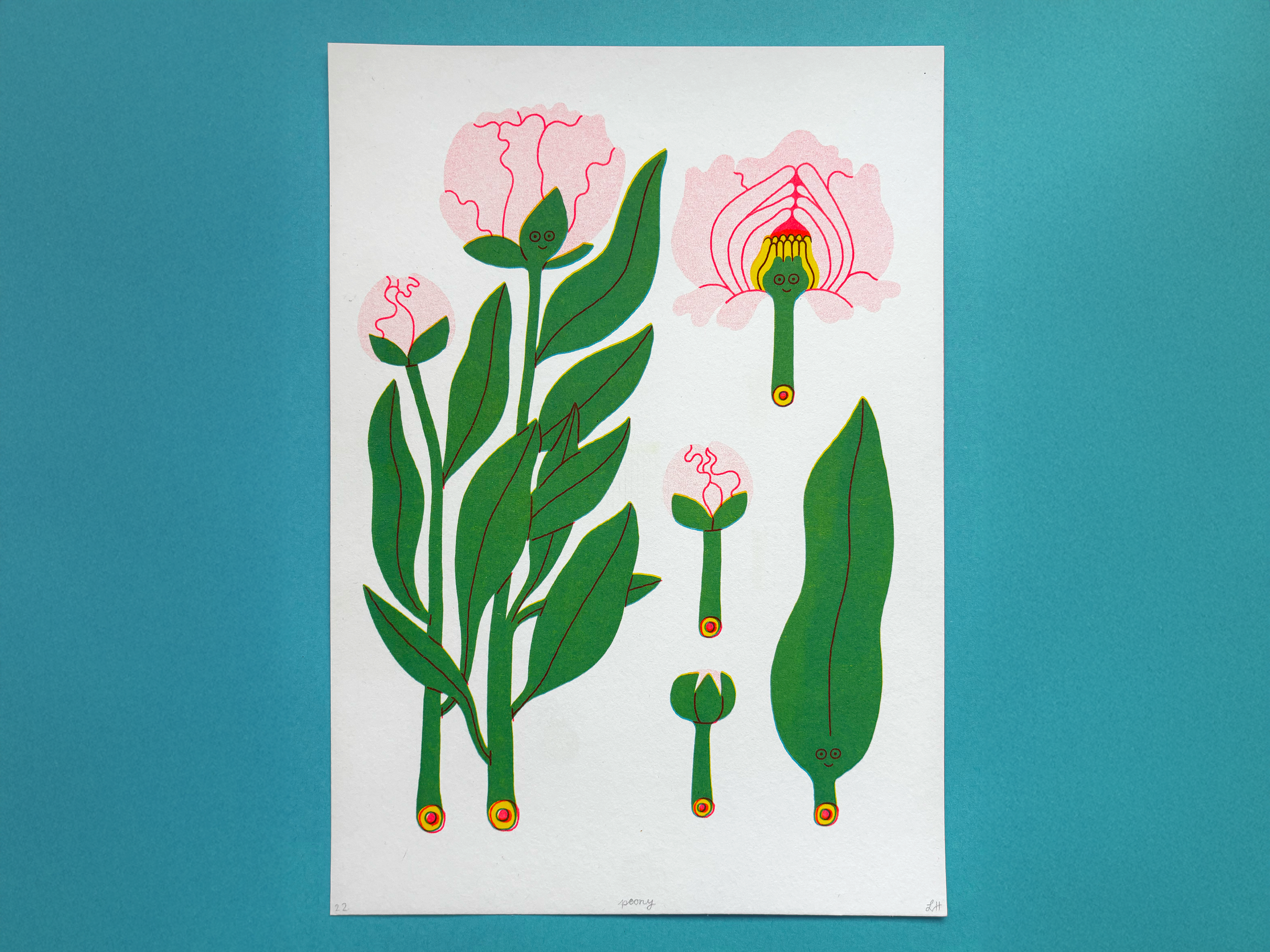 Peony_LH_full.png