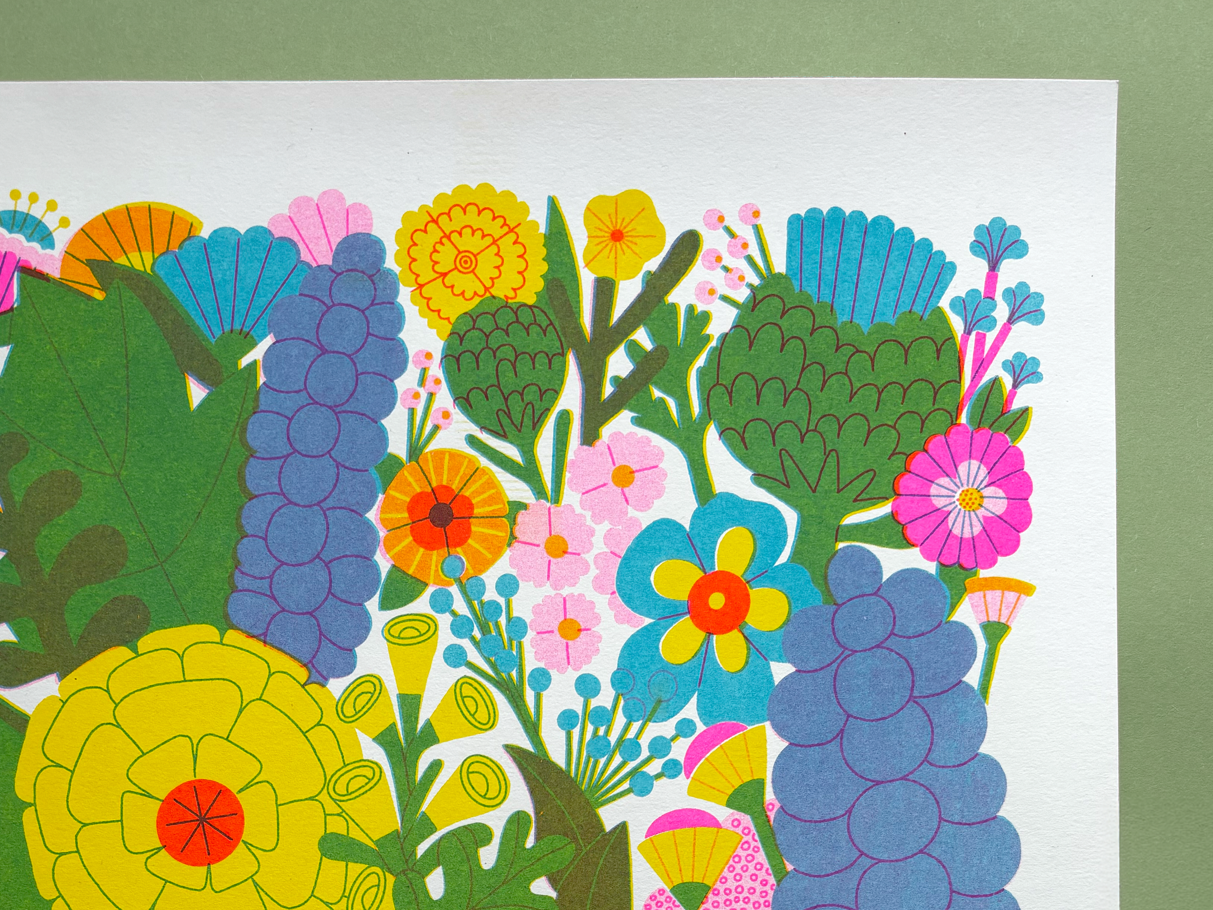 Bloom_LH_close1.png