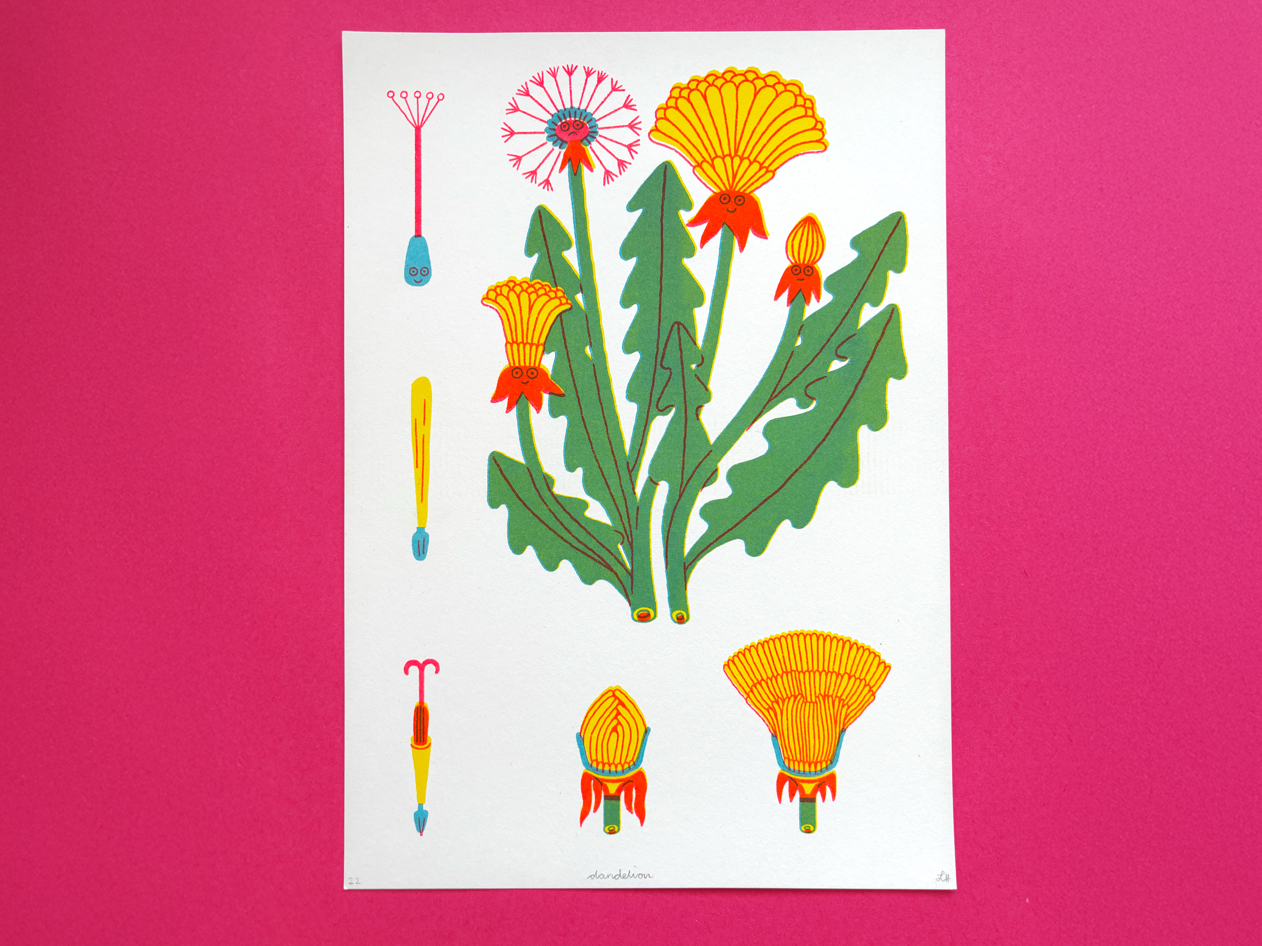 A4 Risograph Prints