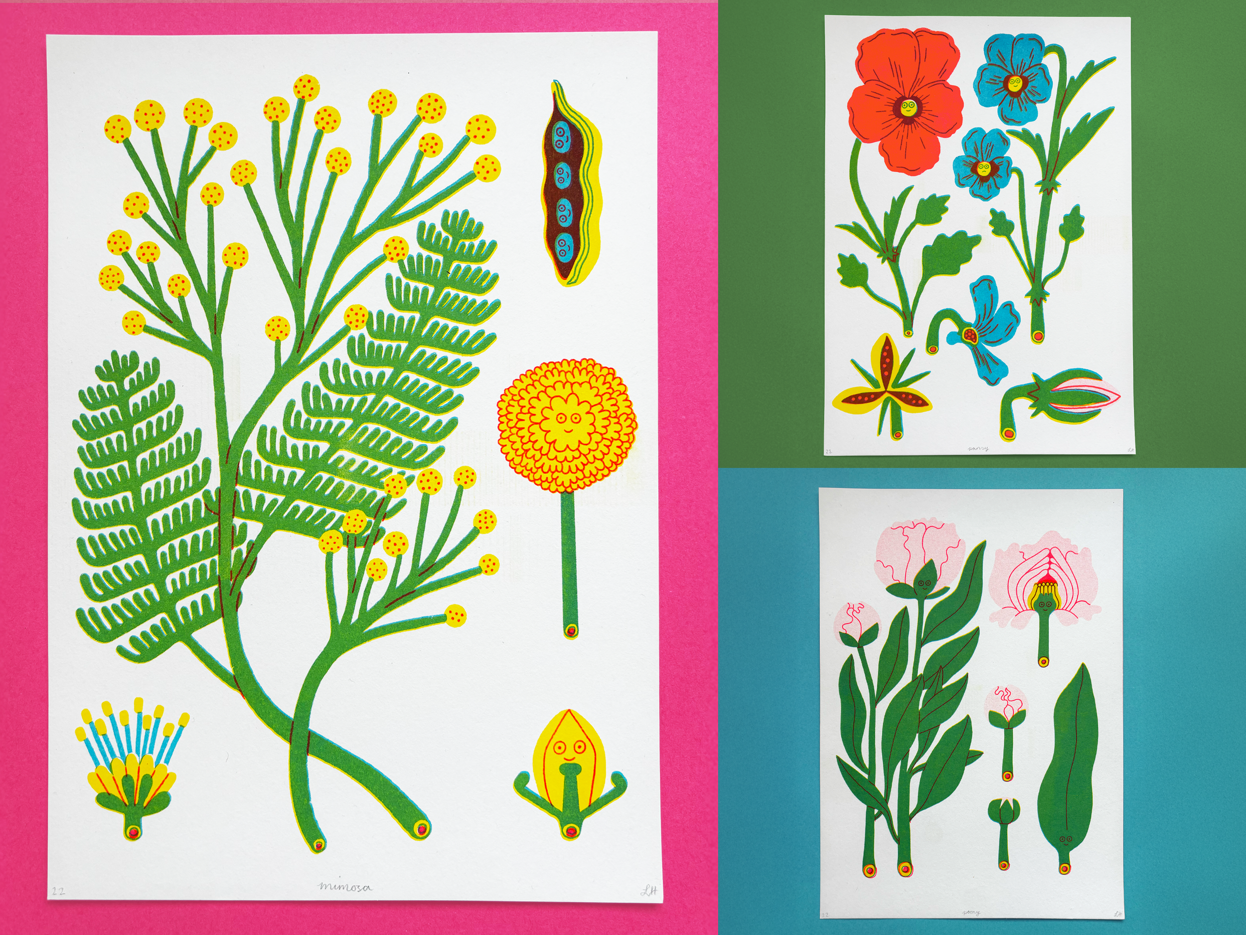 set 2 (mimo).png
