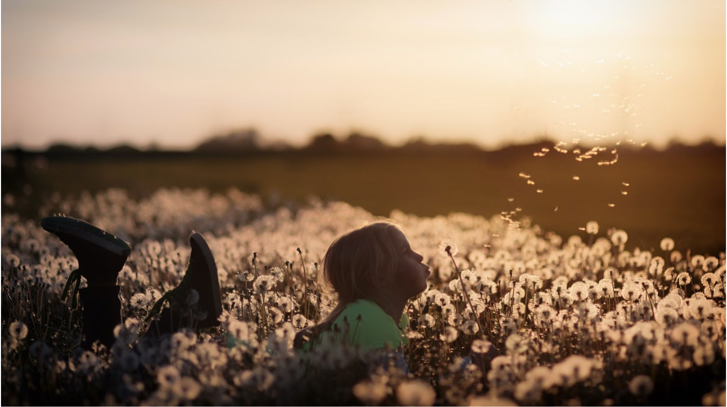 Finding the Good in the Bad