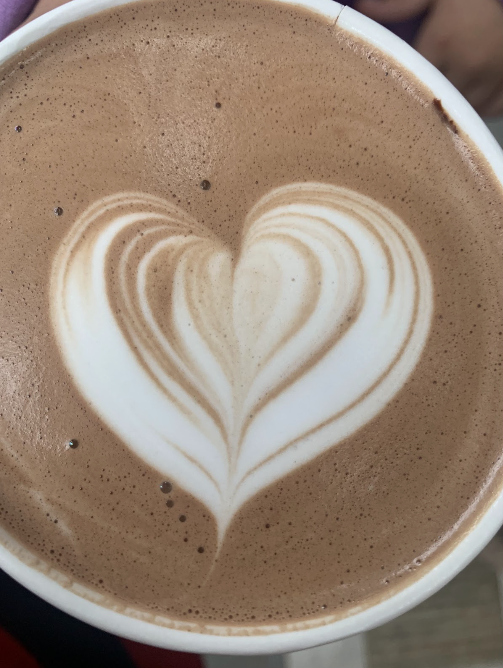 Top Study Spots Around San Jose