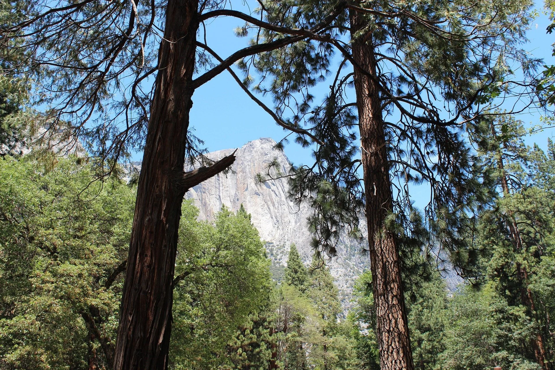 Pollution in Our National Parks
