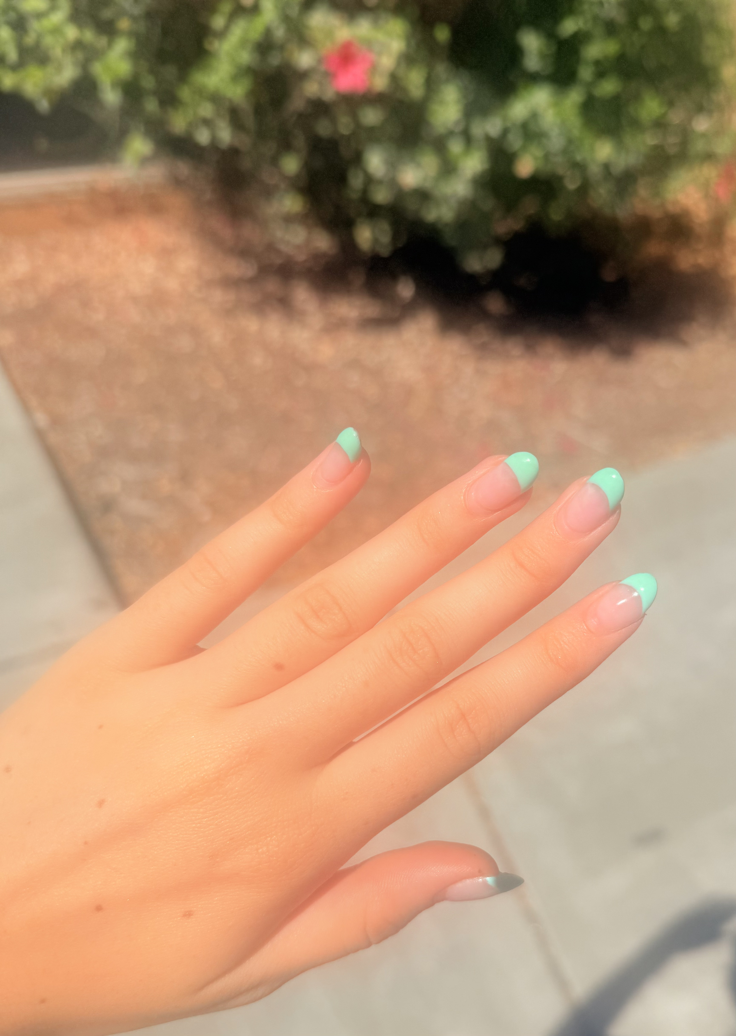 How to Incorporate the Color Teal into your Daily Life