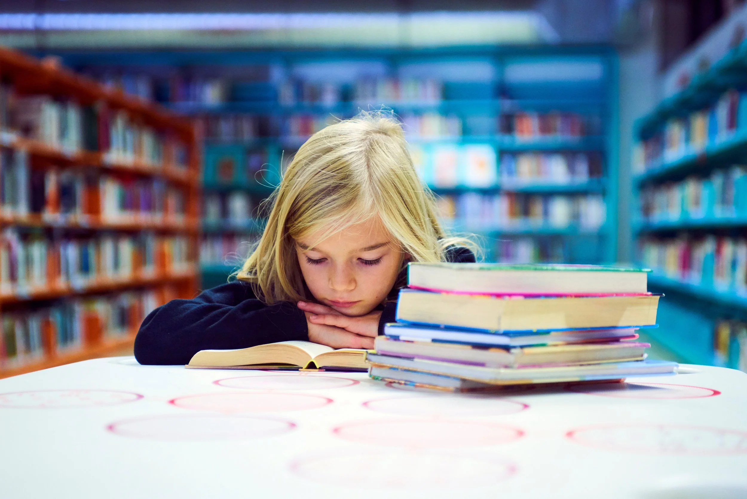 Celebrating Sarasota Libraries!