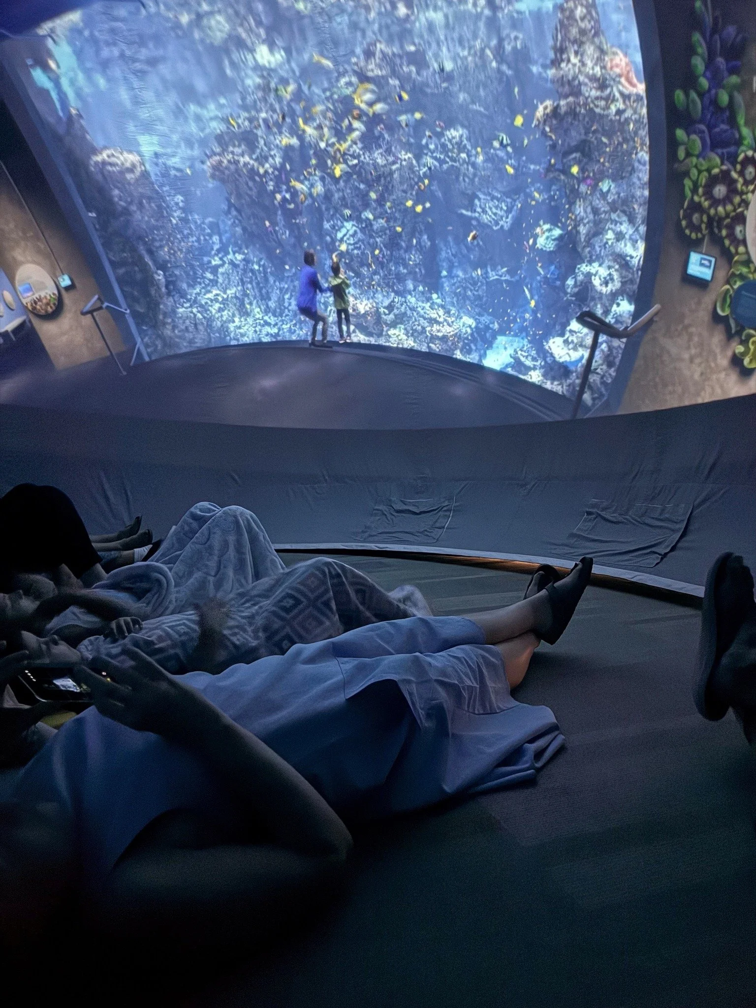 We recently visited the Discovery Dome Planetarium where we saw &ldquo;Expedition Reef&rdquo;&hellip;.and it was inside the William H. Jervey Jr. Venice Library.  Together with a few dozen kids and adults, we climbed into a huge blow-up dome and lear