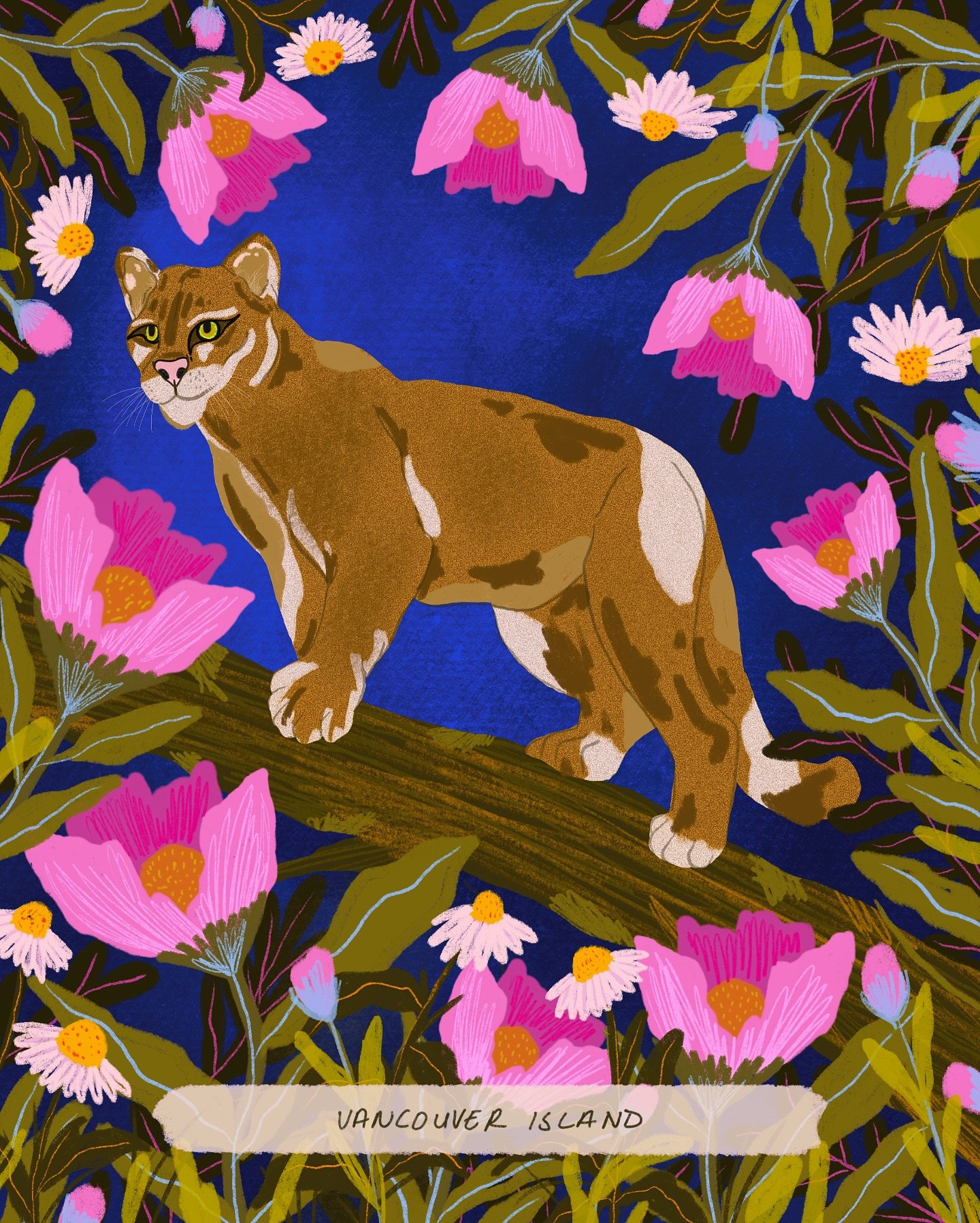 Work in progress on a little project to represent vanisle this summer. Stay tuned for a little animal collection 🐈