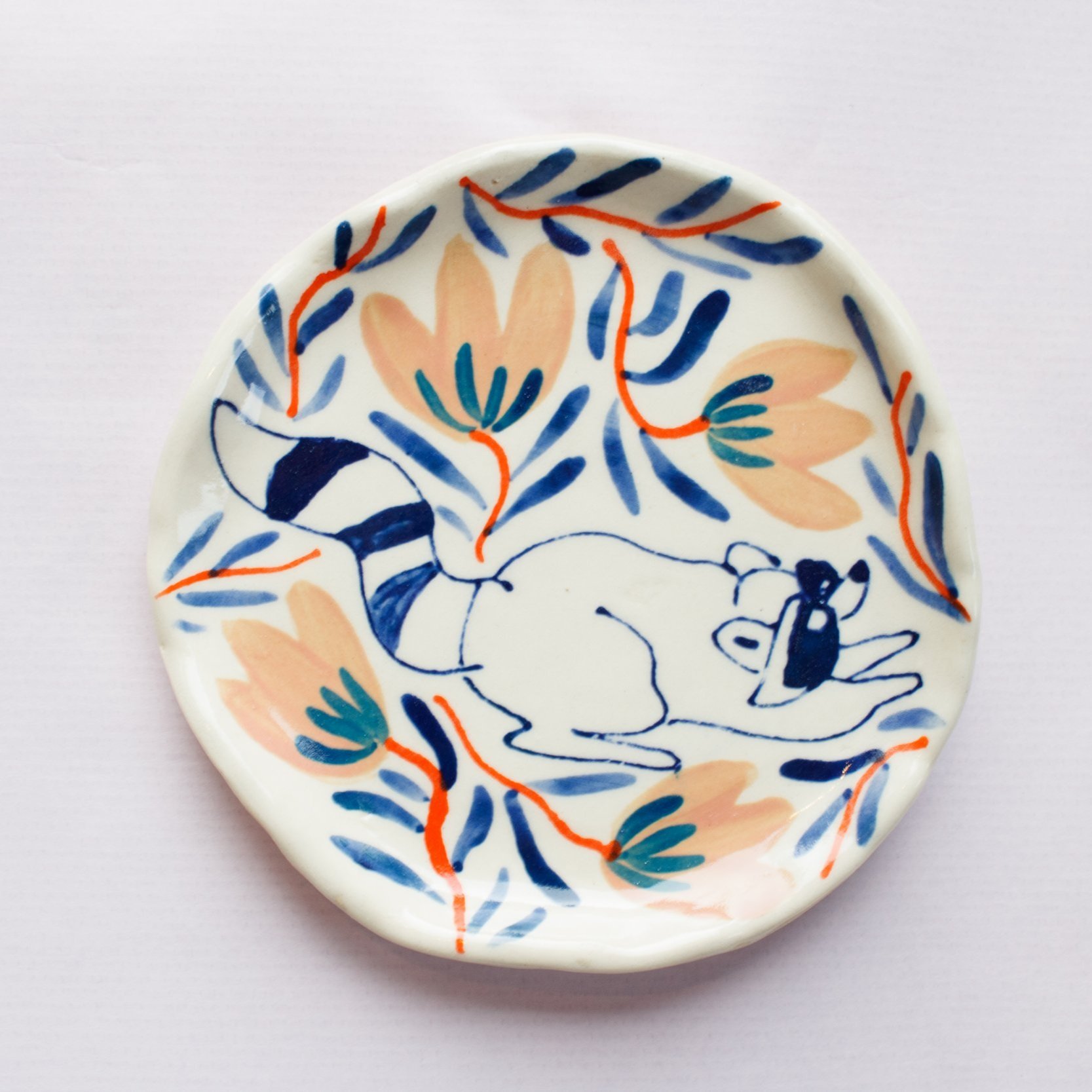 Racoon+dish.jpg