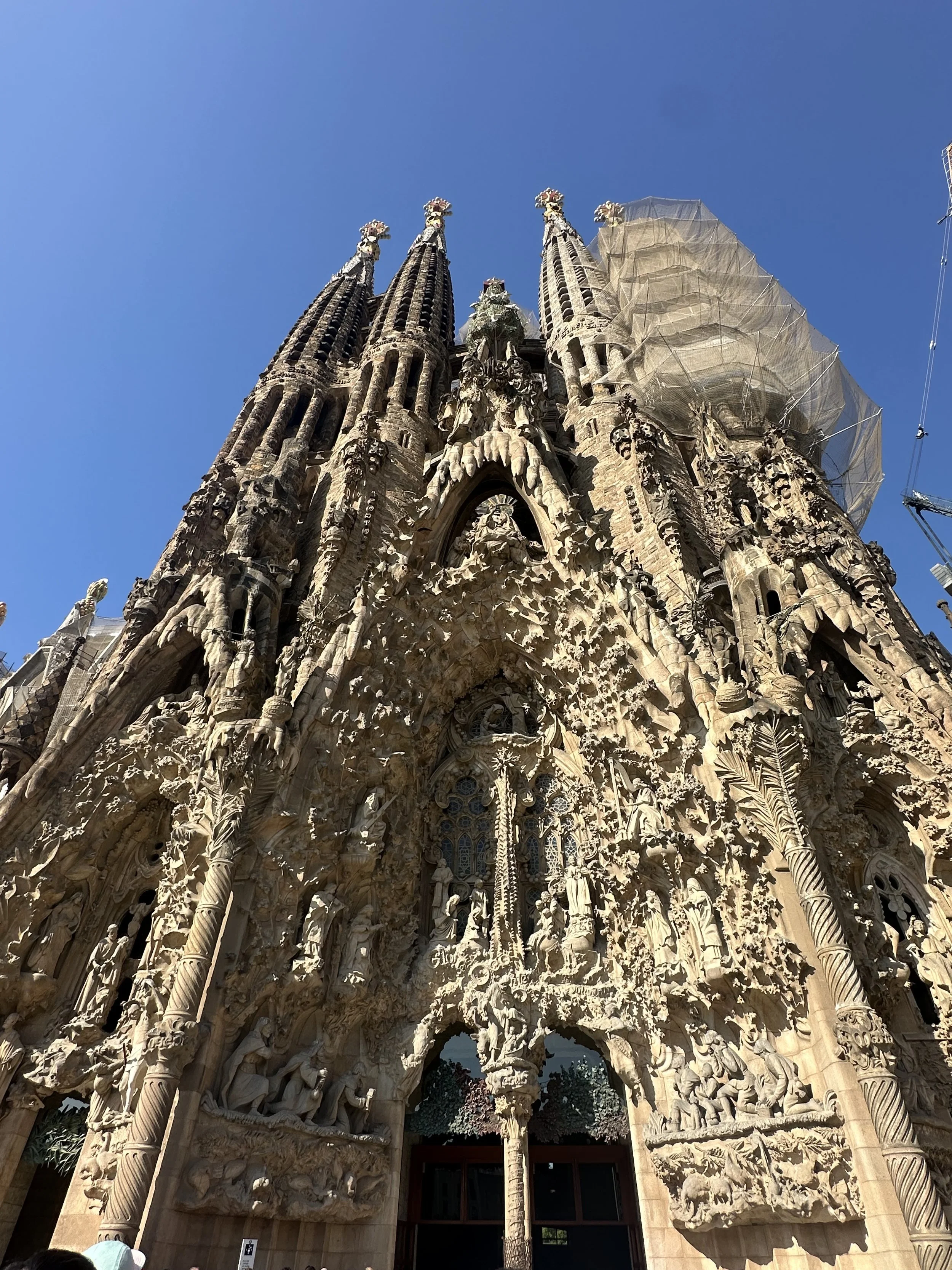 IMG_6368.jpeg