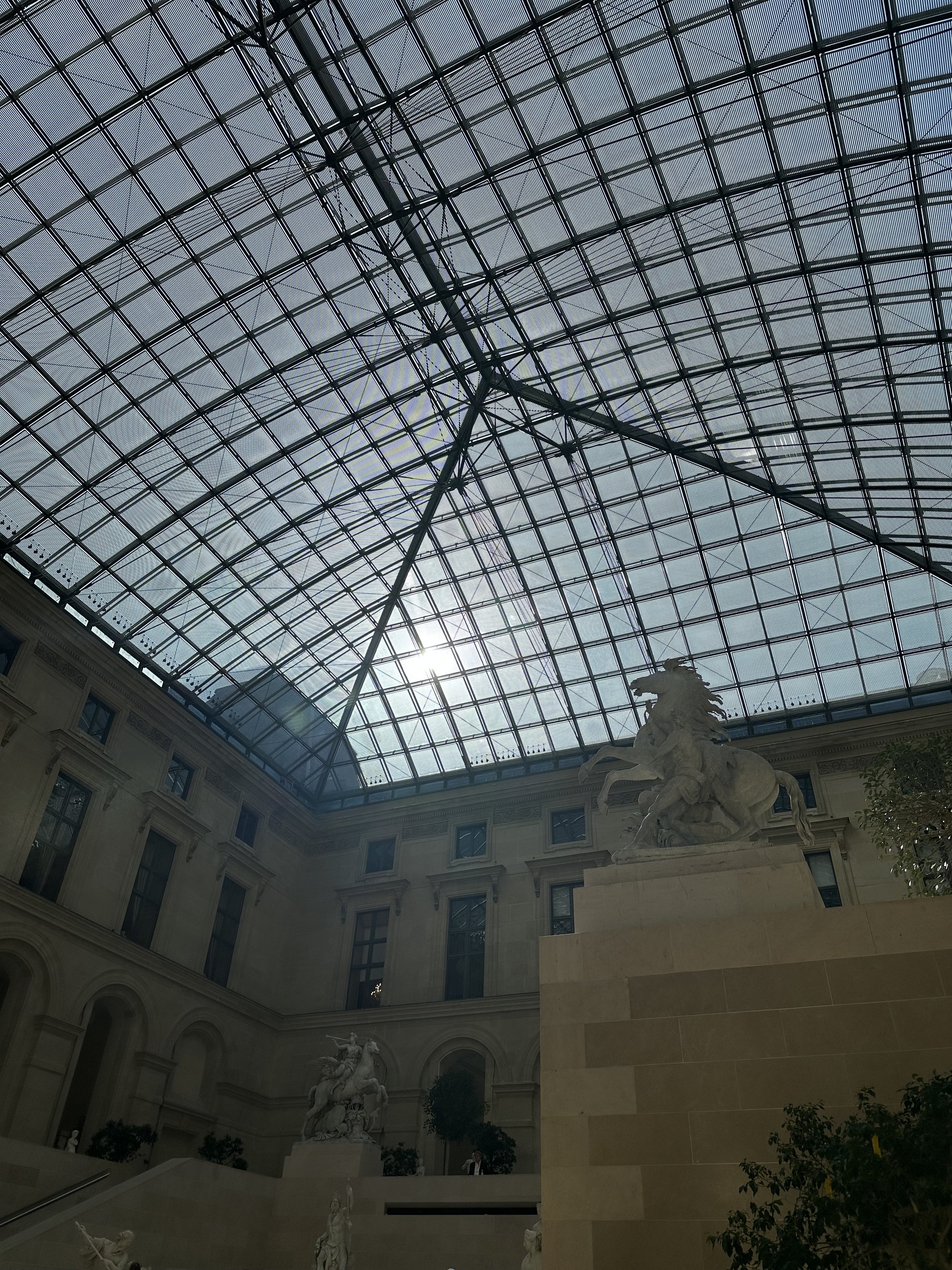 IMG_2459.jpeg
