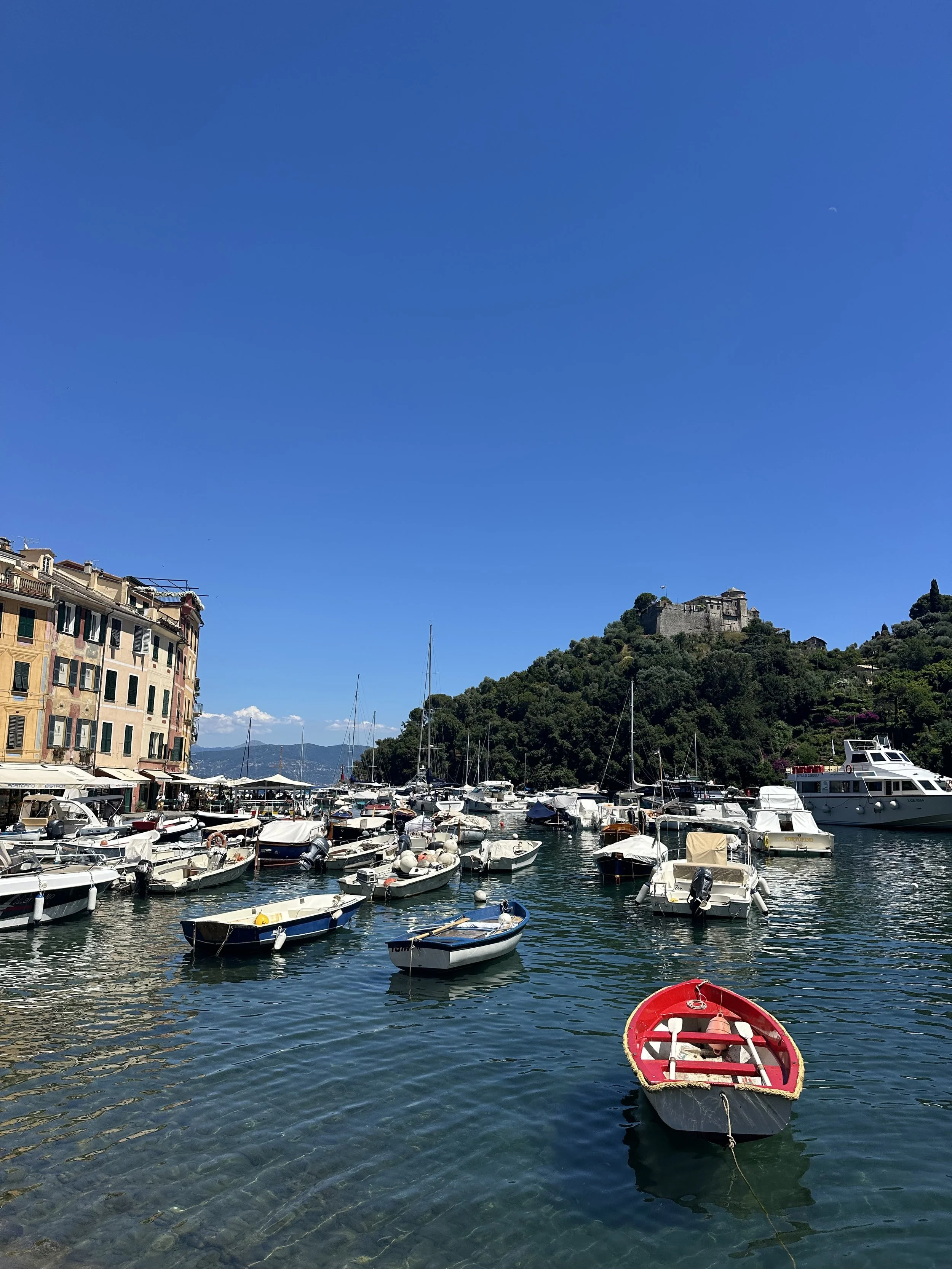 IMG_7297.jpeg