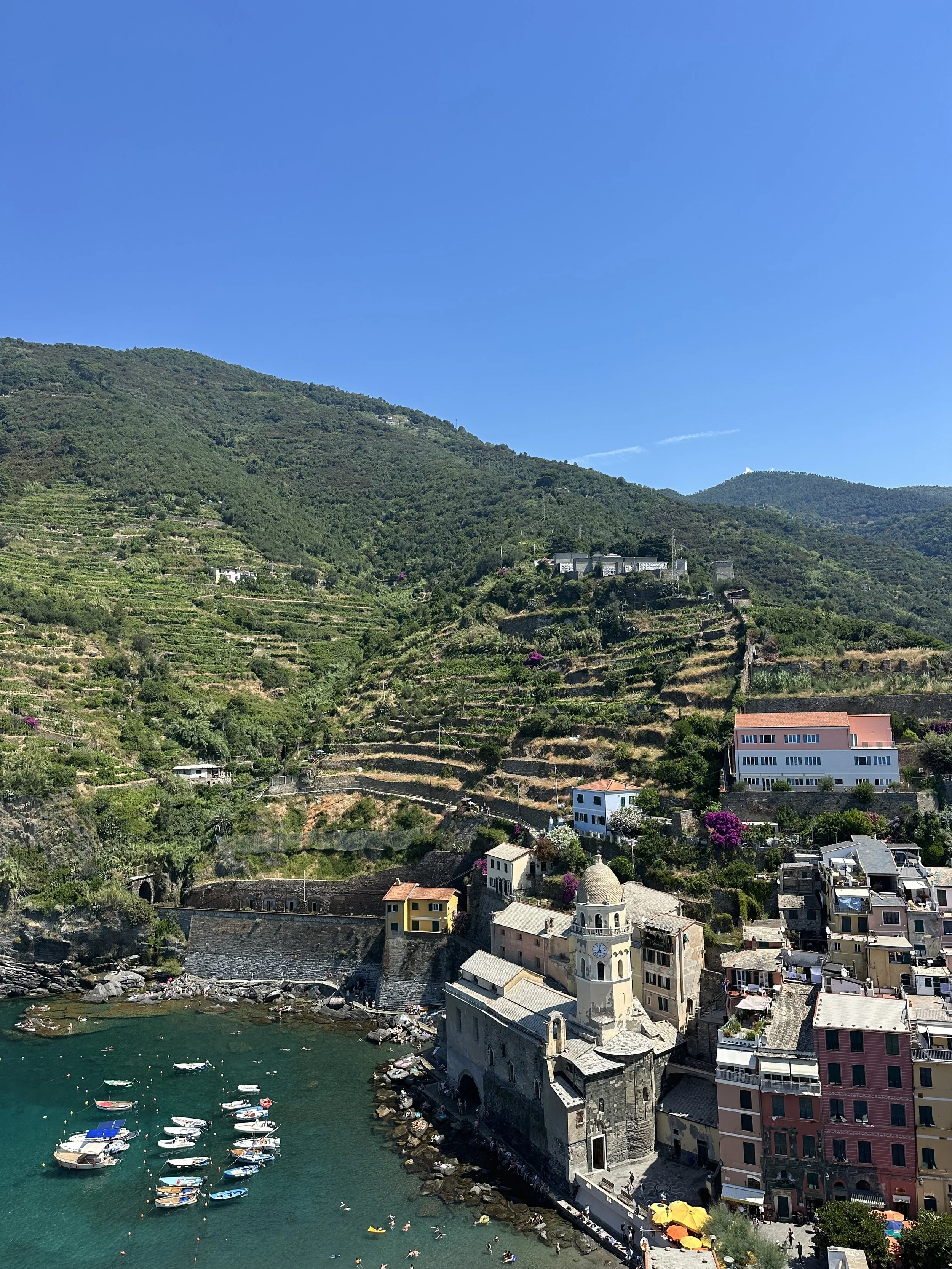 IMG_7380.jpeg