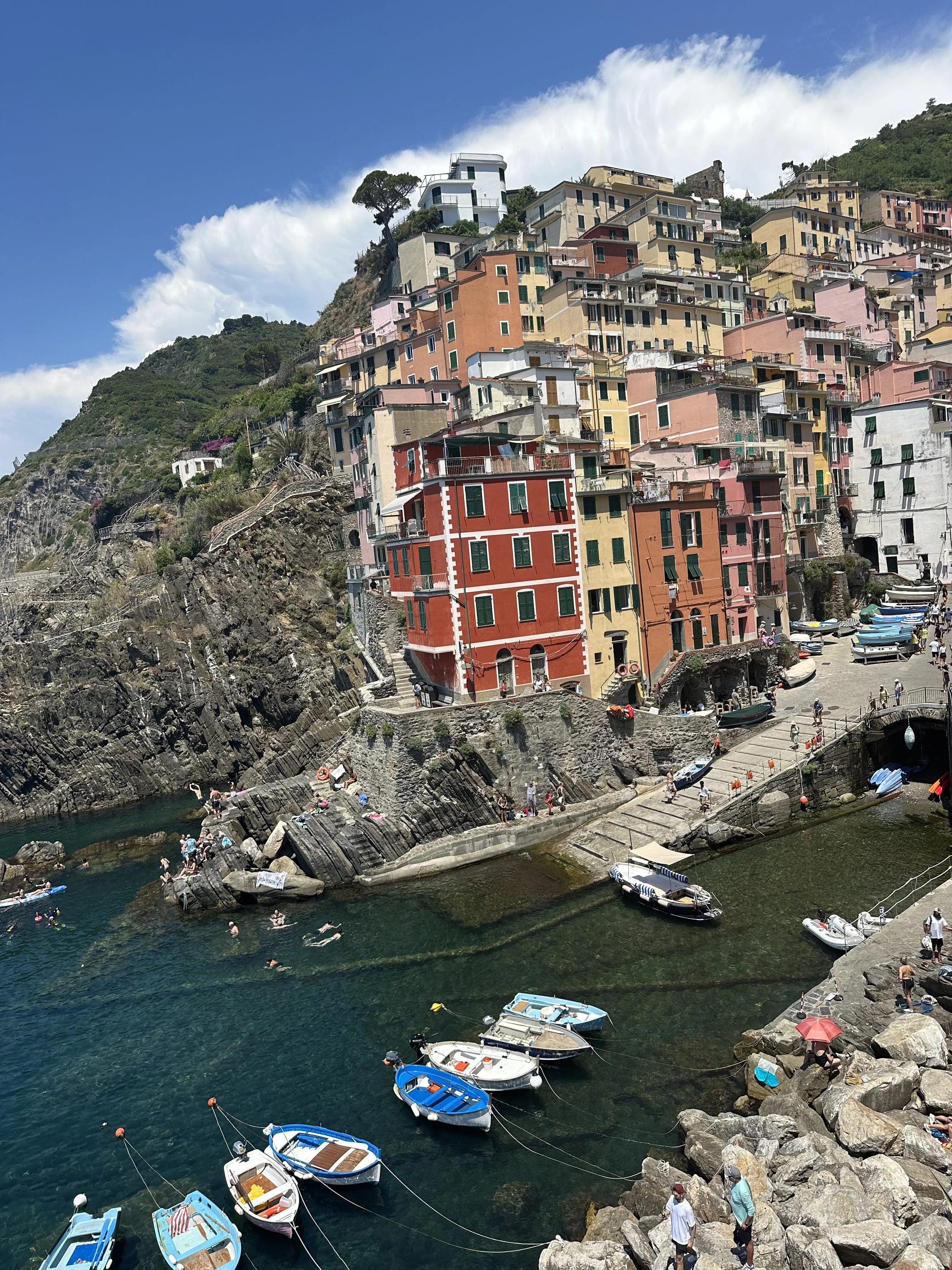 IMG_7392.jpeg